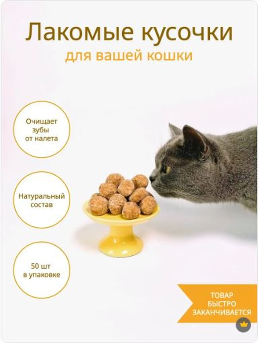 Снимок 6.jpg