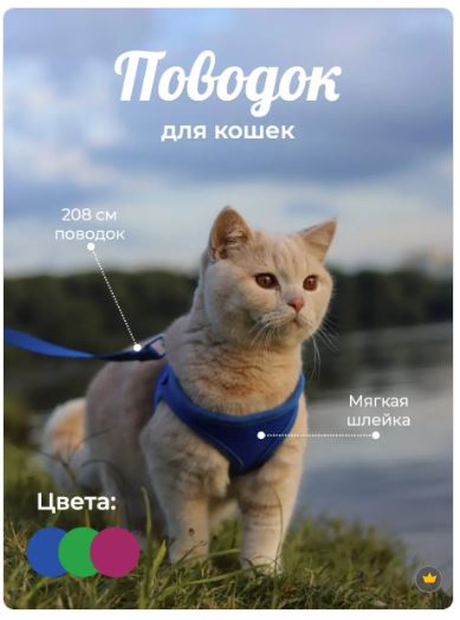 Снимок 7.jpg