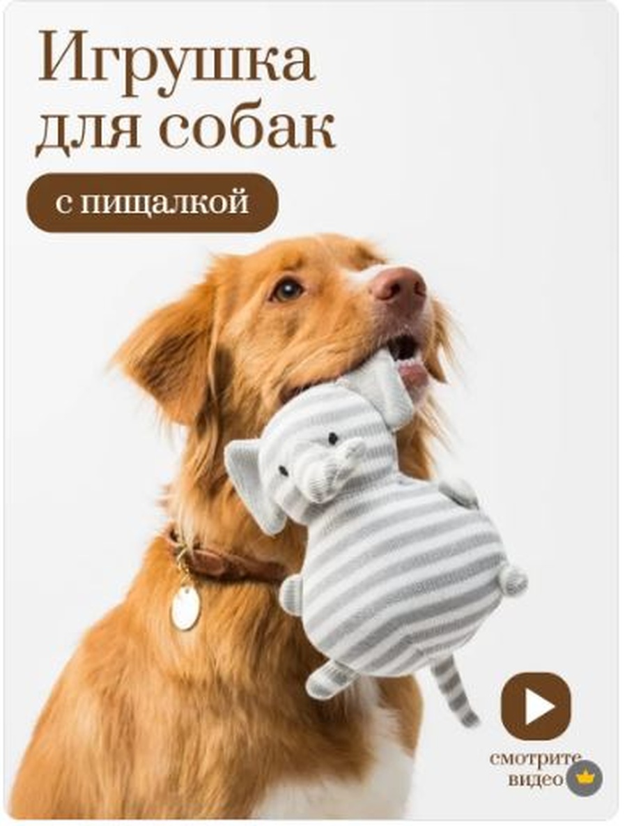 Снимок 8.jpg