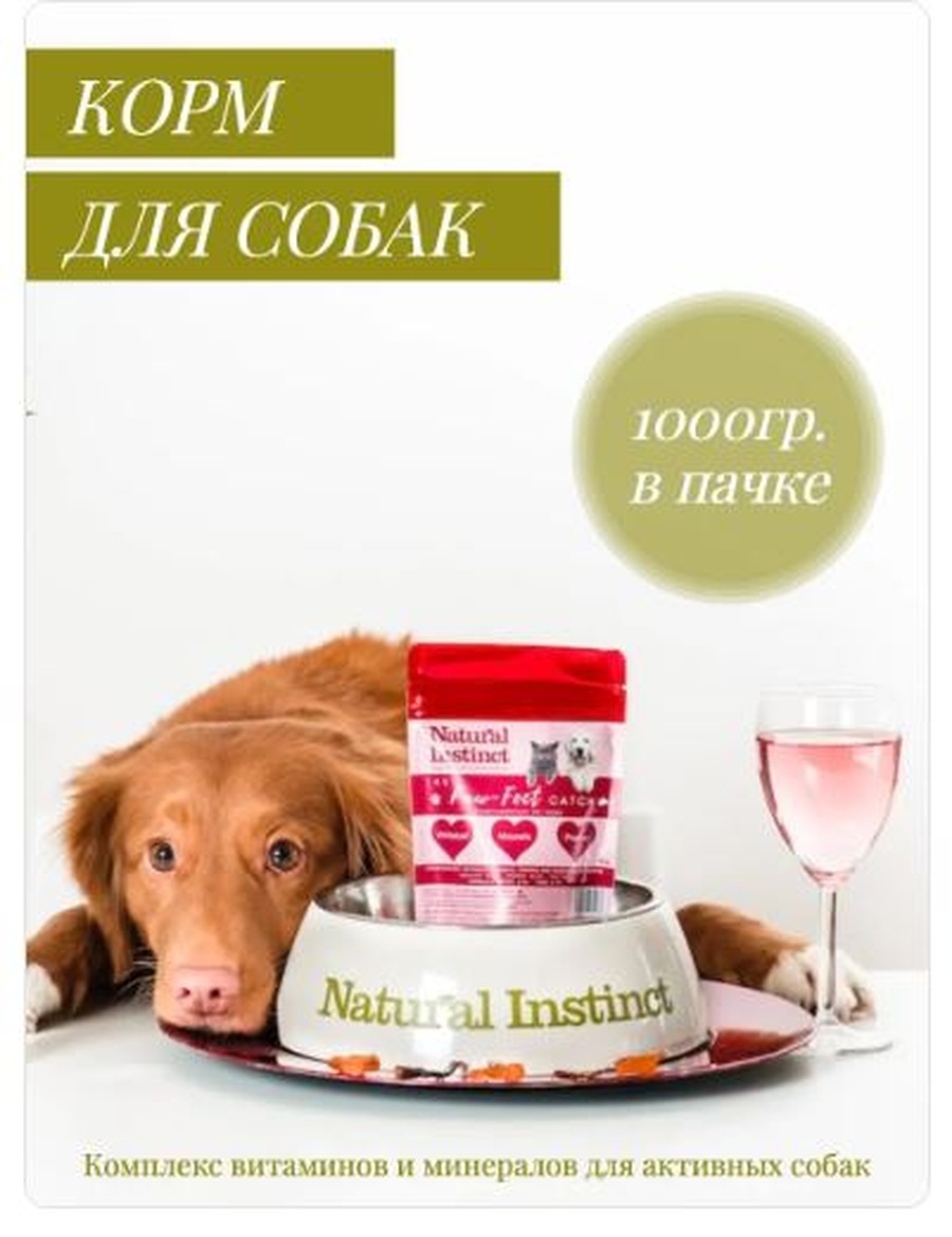 снимок.jpg