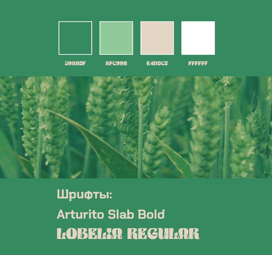 фриланс-14.png