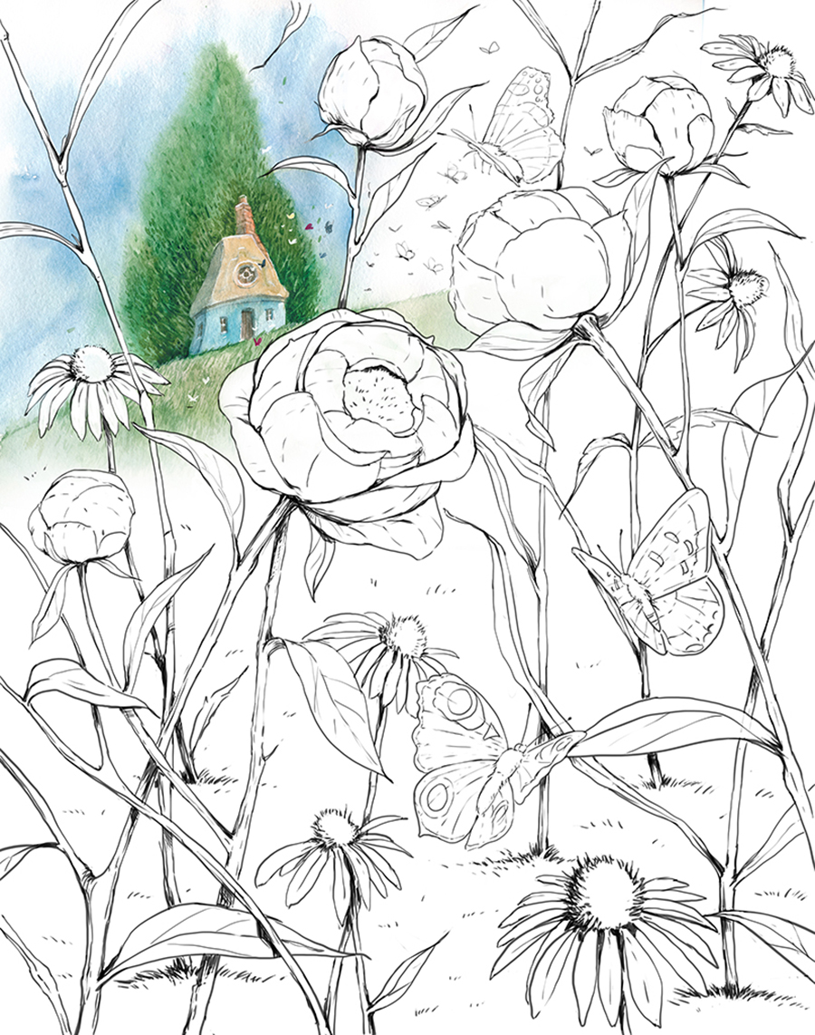 раскраска 06.jpg