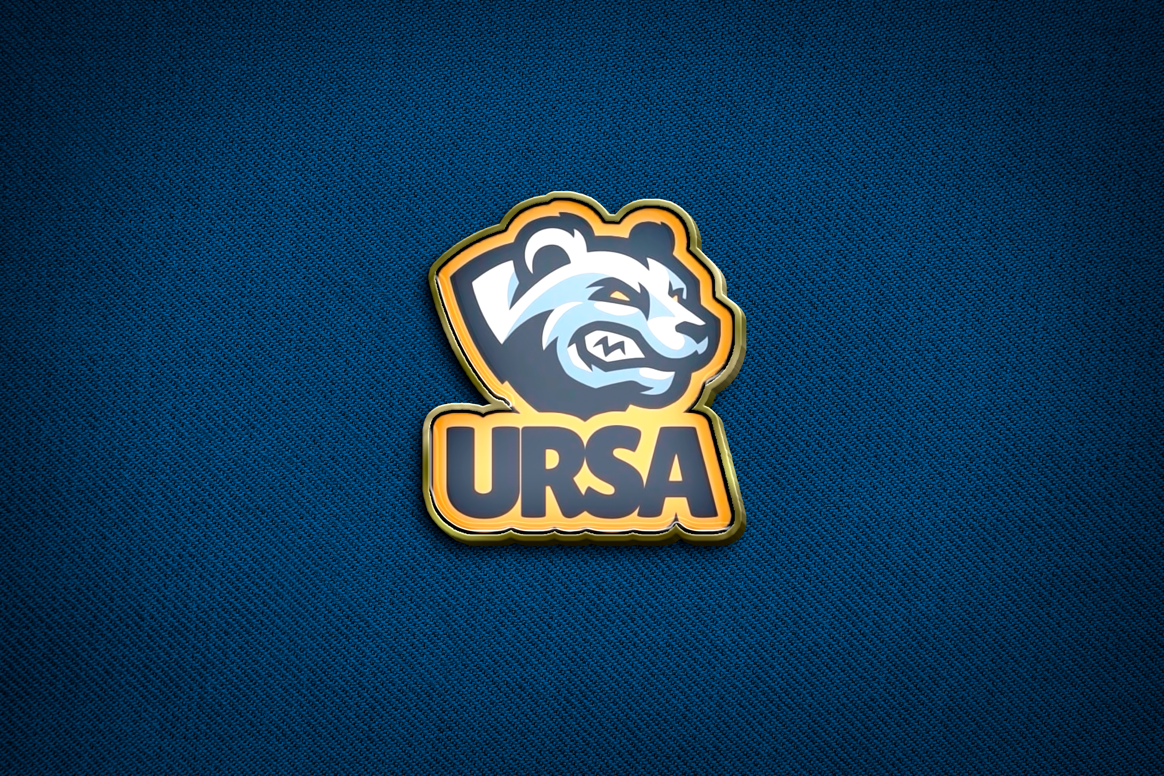 Брендинг спортивного клуба "URSA"
