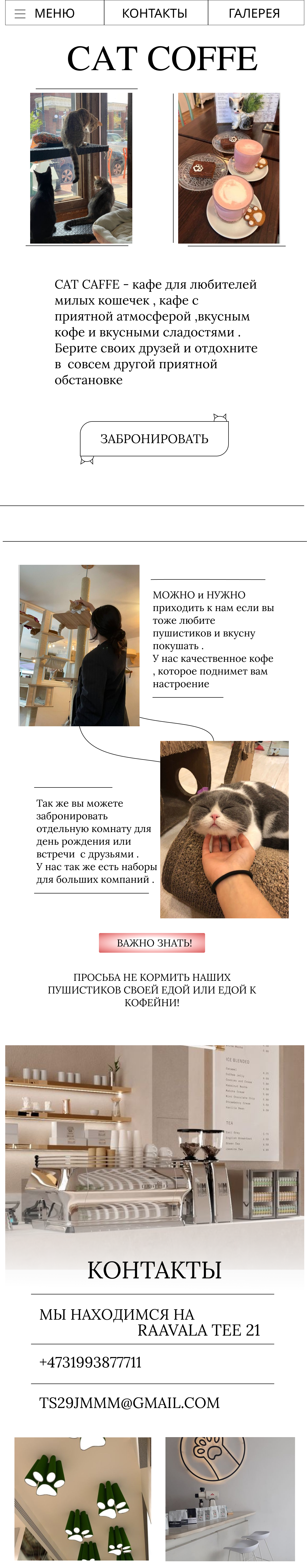 Сайт для кофе  с котиками