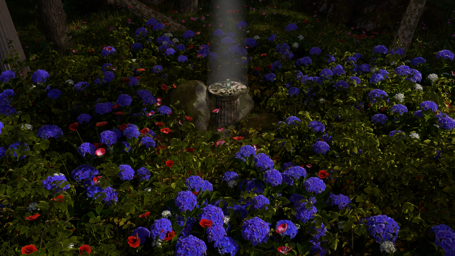 forest_DeMain_0156 копия.jpg