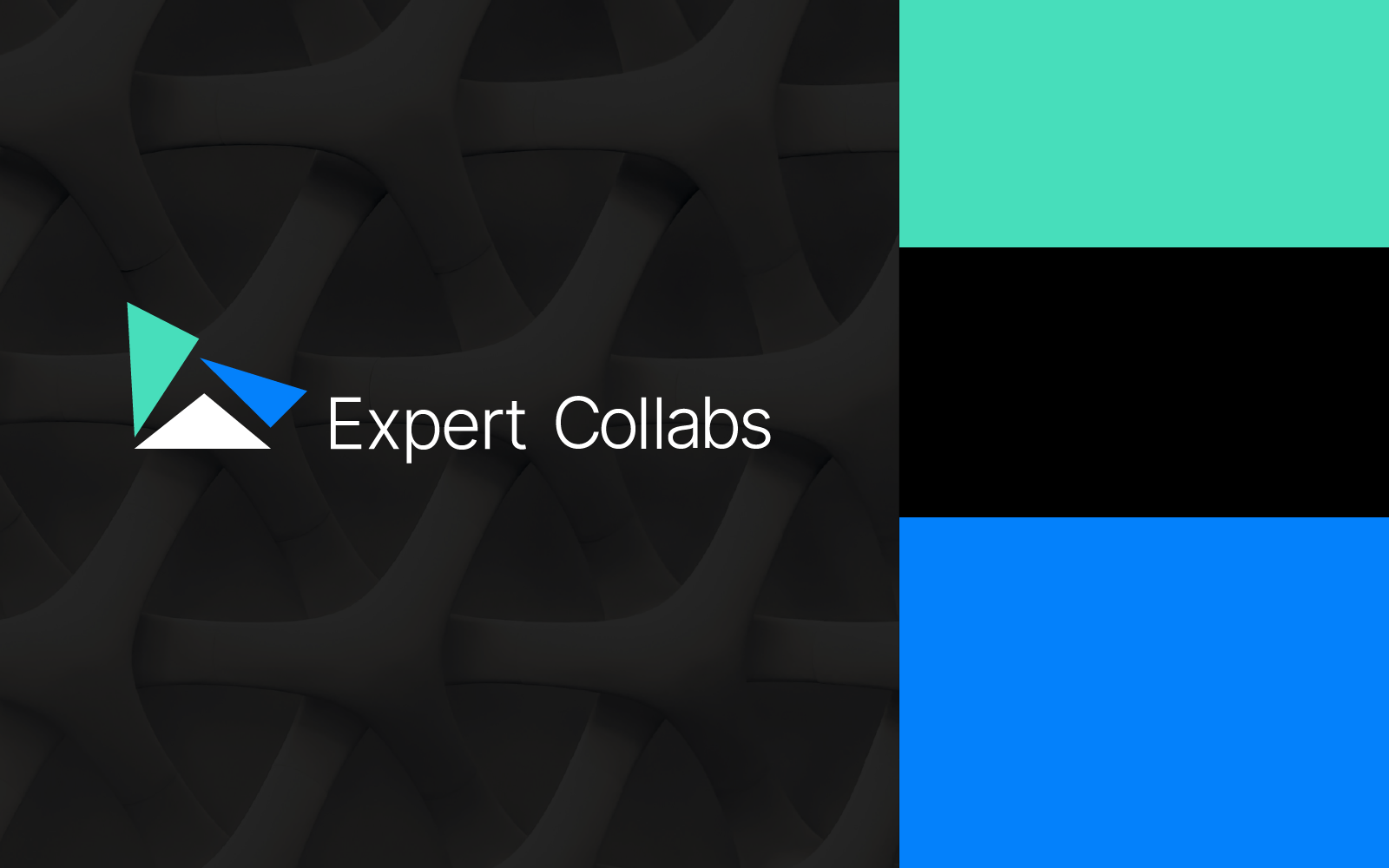 Expert Collabs | Лого и фирменный стиль