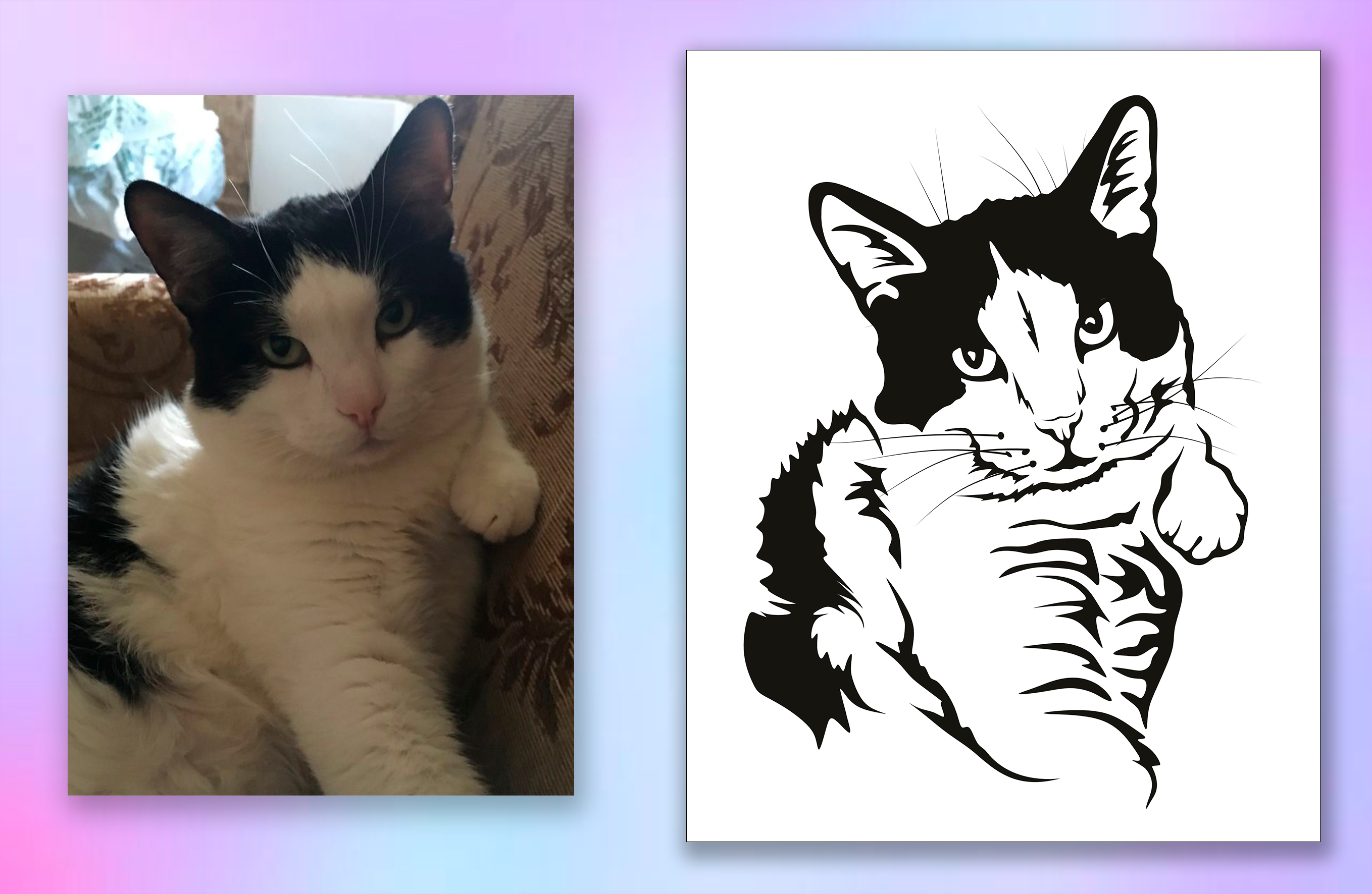 фото для портфолио 87.png