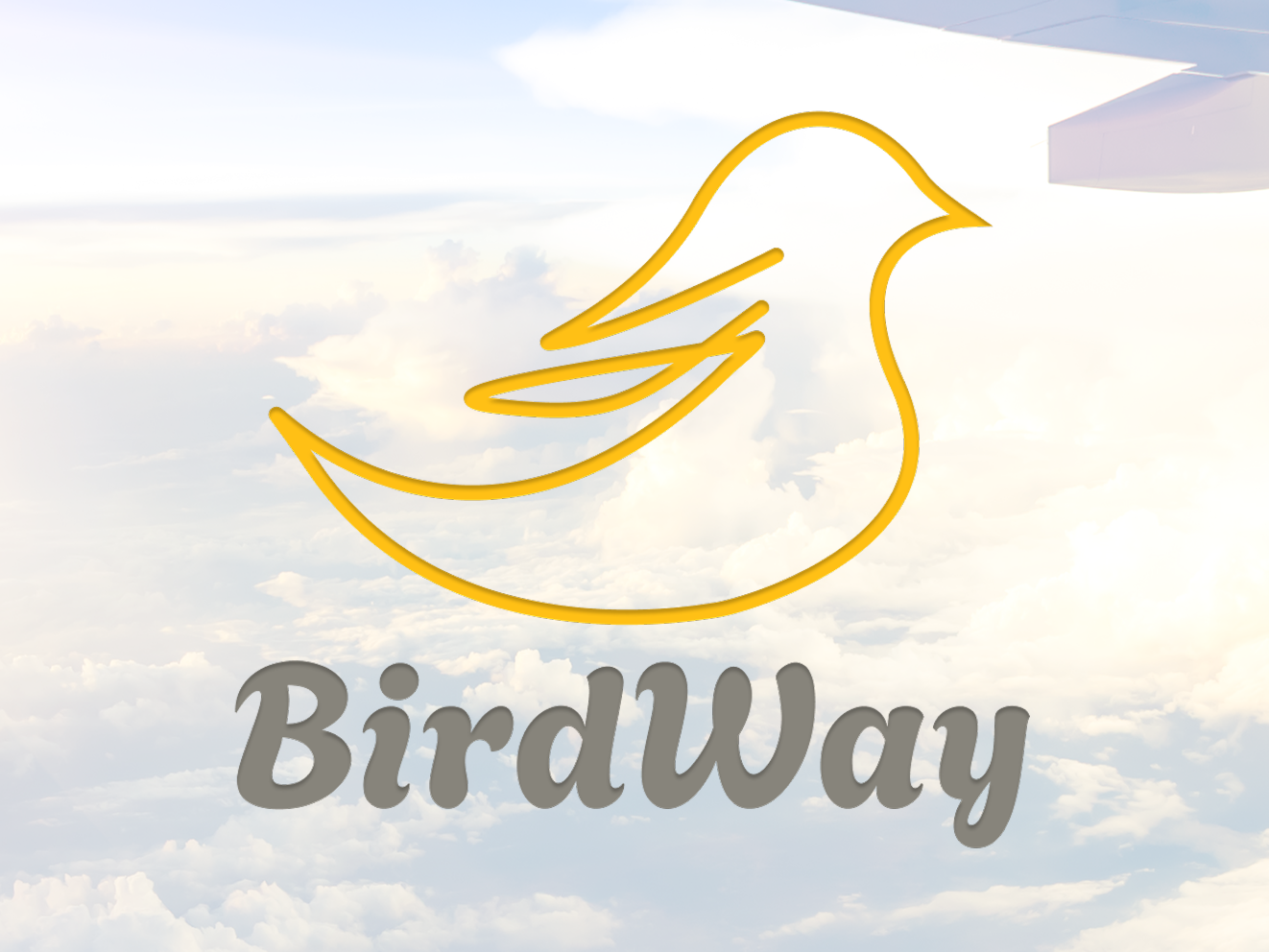 Брендинг для BirdWay — сервис о путешествиях и новых открытиях