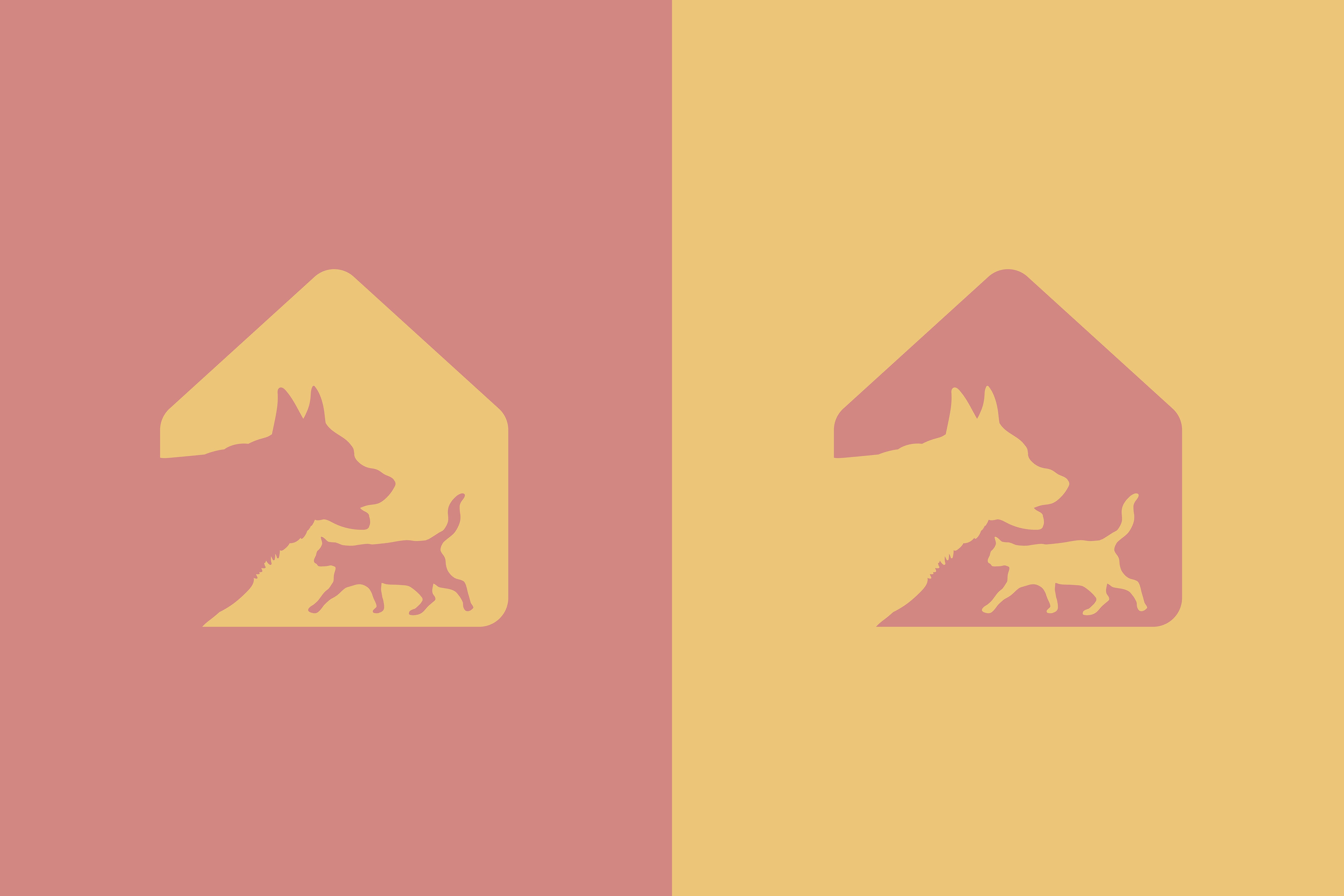 redesign cats_dogs_sochi (03)(02).jpg