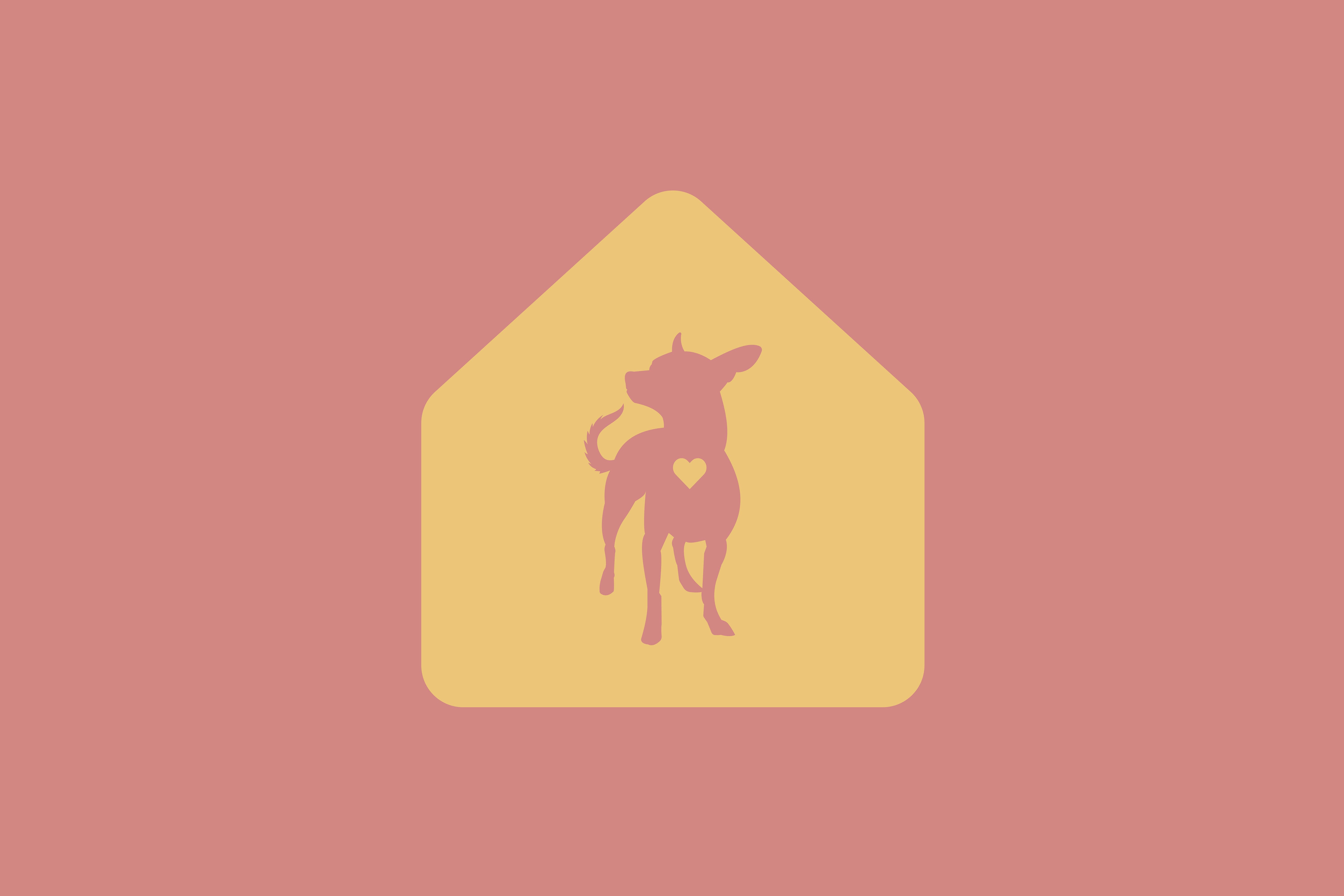 redesign cats_dogs_sochi (07)(02).jpg