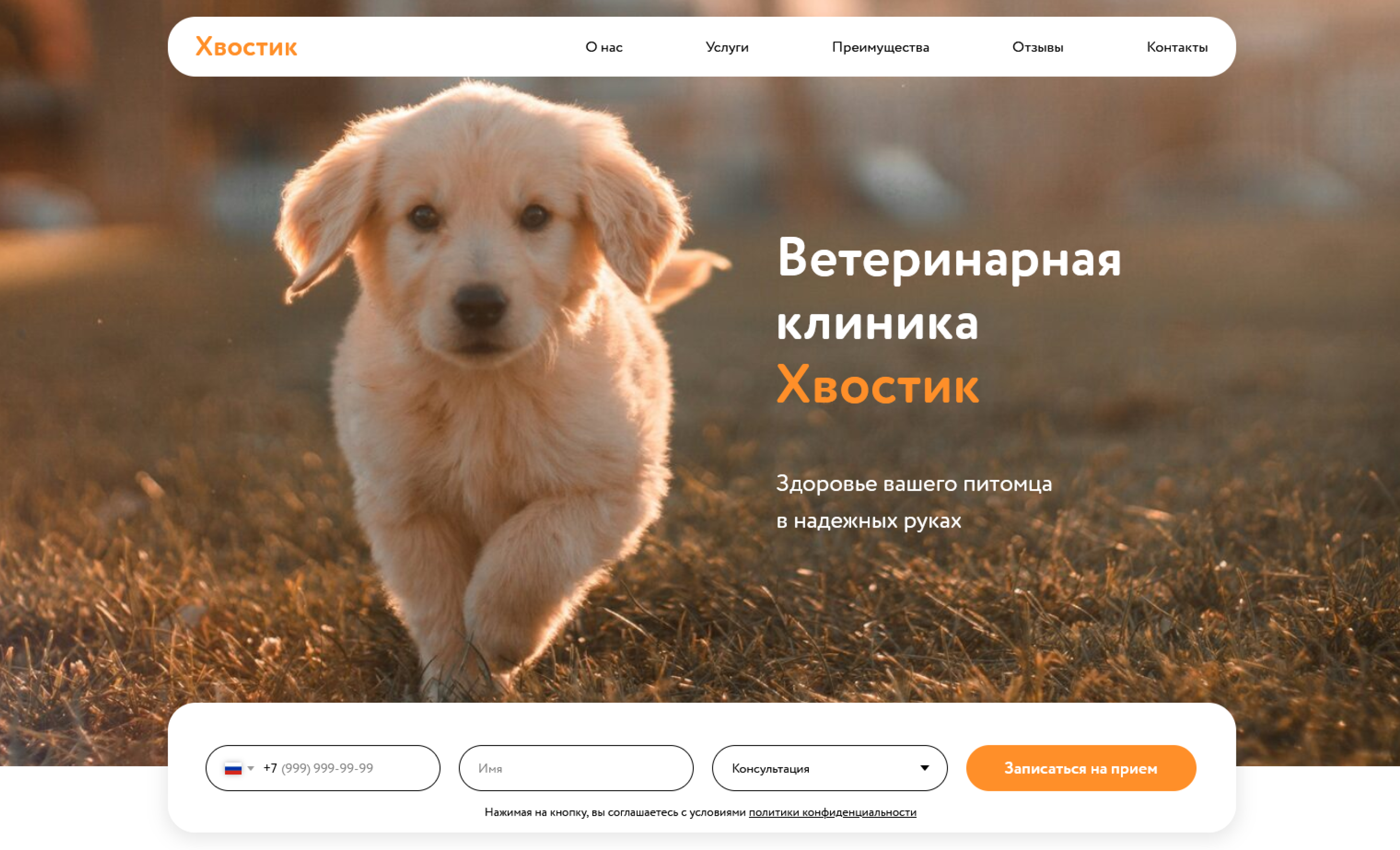 Одностраничный сайт ветеринарной клиники Хвостик