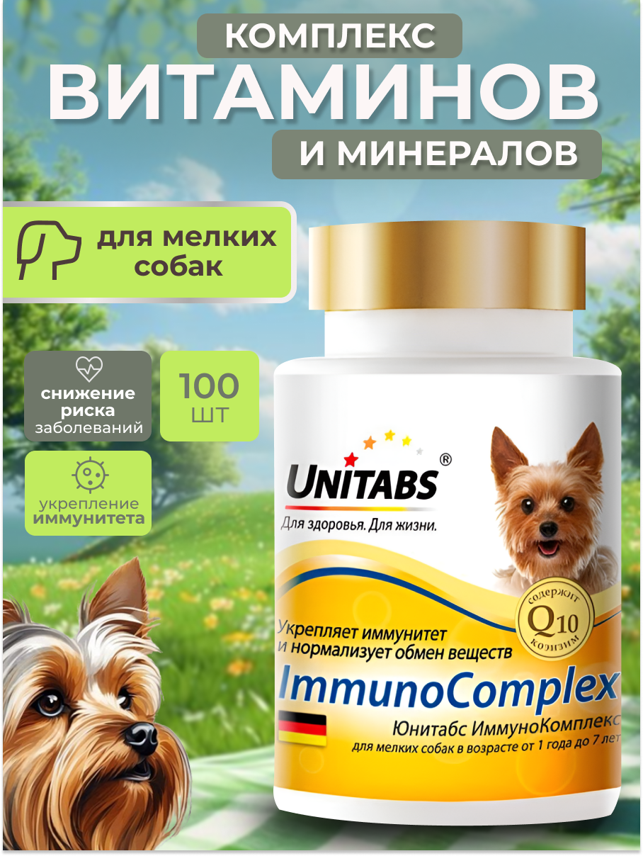 Инфографика для «Витамины для собак»