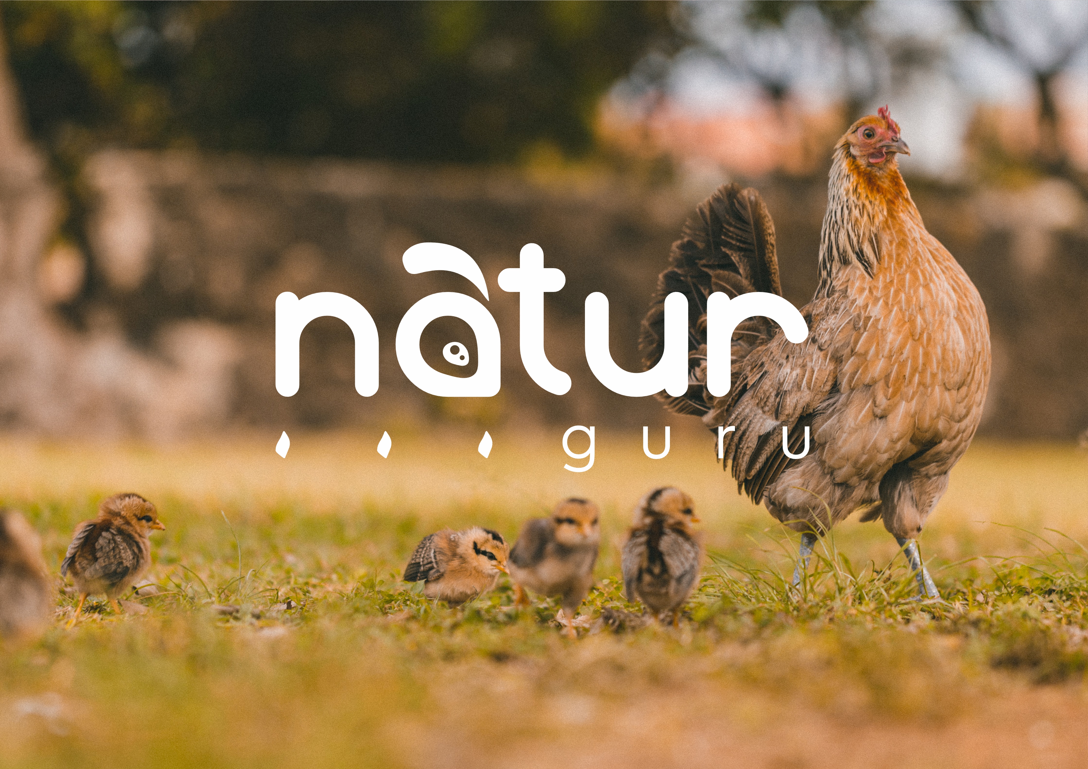 NaturGuru 1.jpg