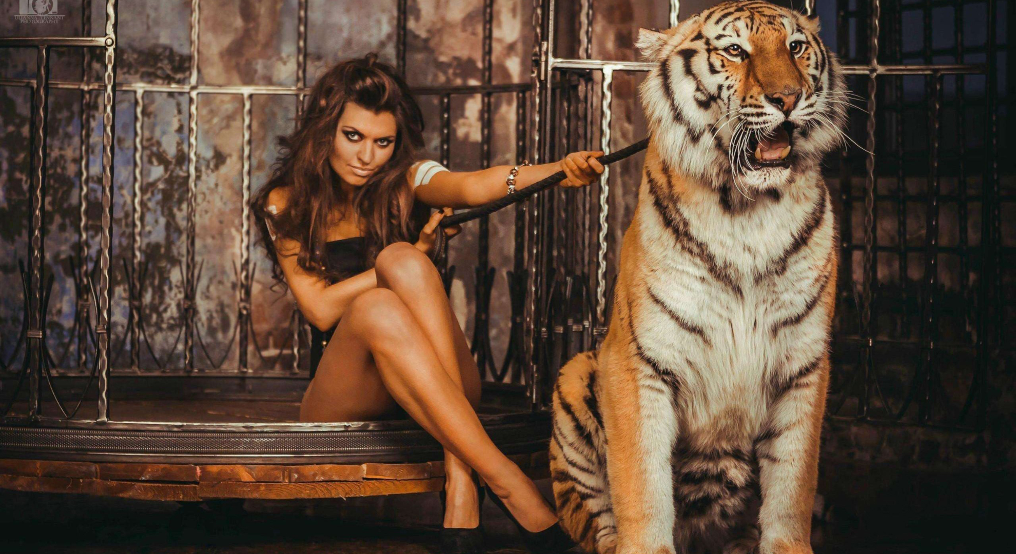 Заходит в клеть.jpg