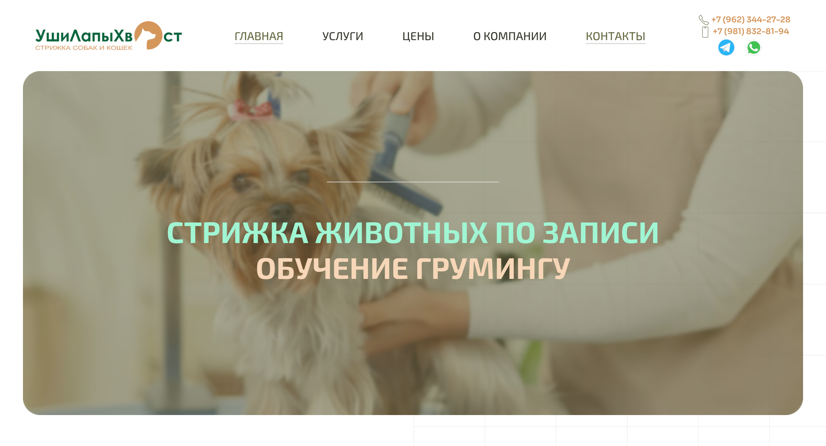 FireShot Capture 169 - УшиЛапыХвост - Главная - www.ushilapihvos