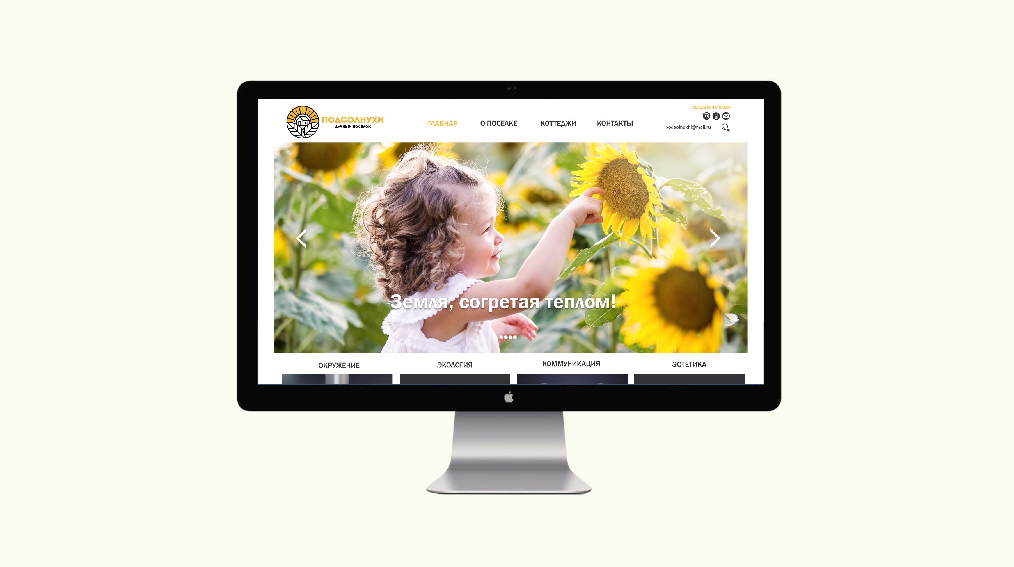 3.1 Подсолнухи.jpg