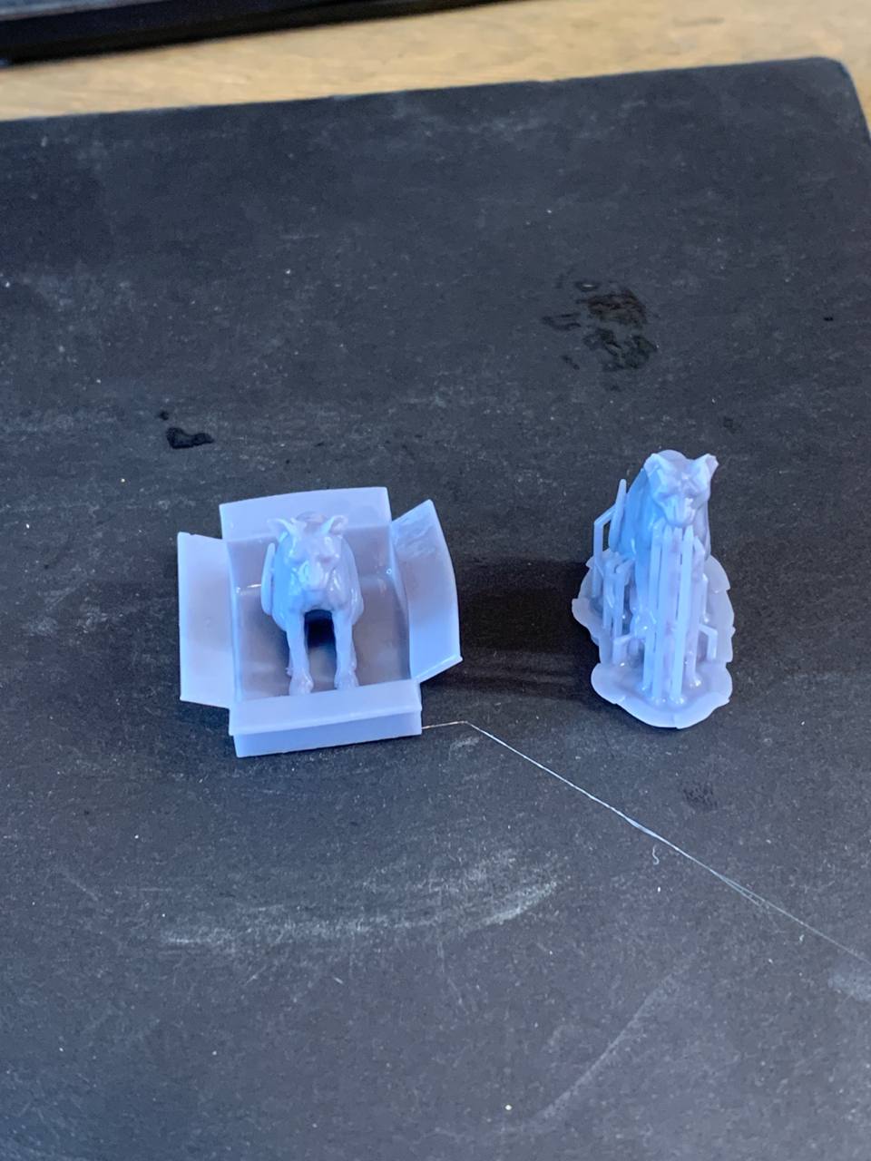 f_057661fe9ecca823 (1).jpg