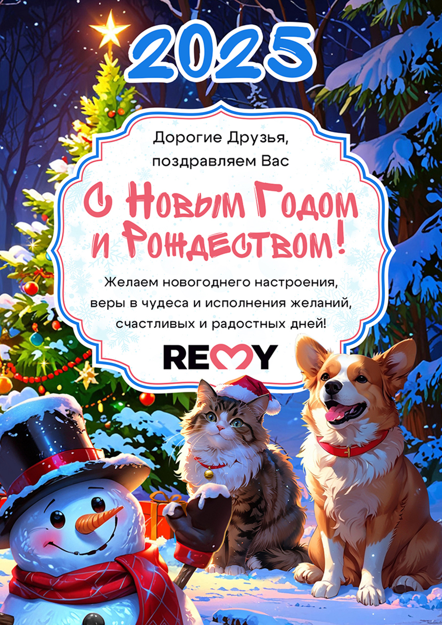Новый Год Remy_2.jpg