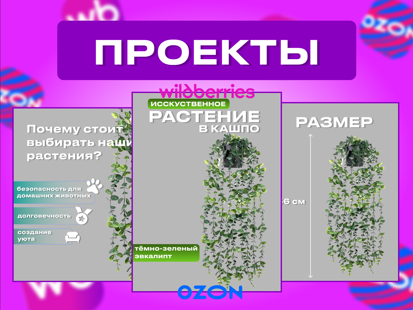 портфол 2.png