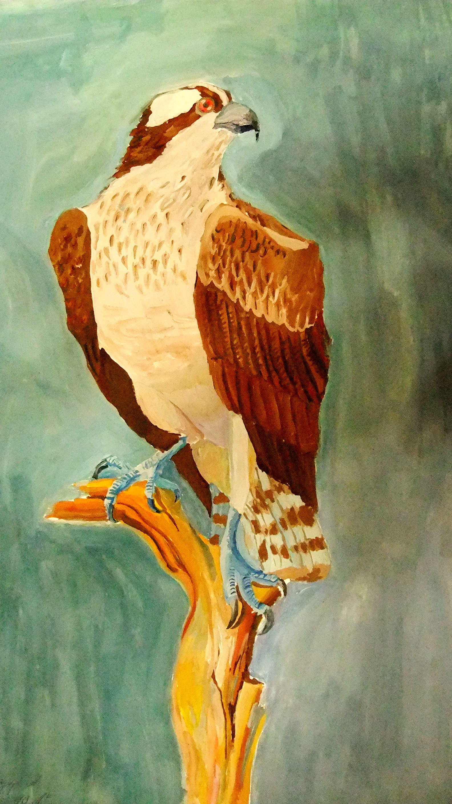 DSCF6292.JPG