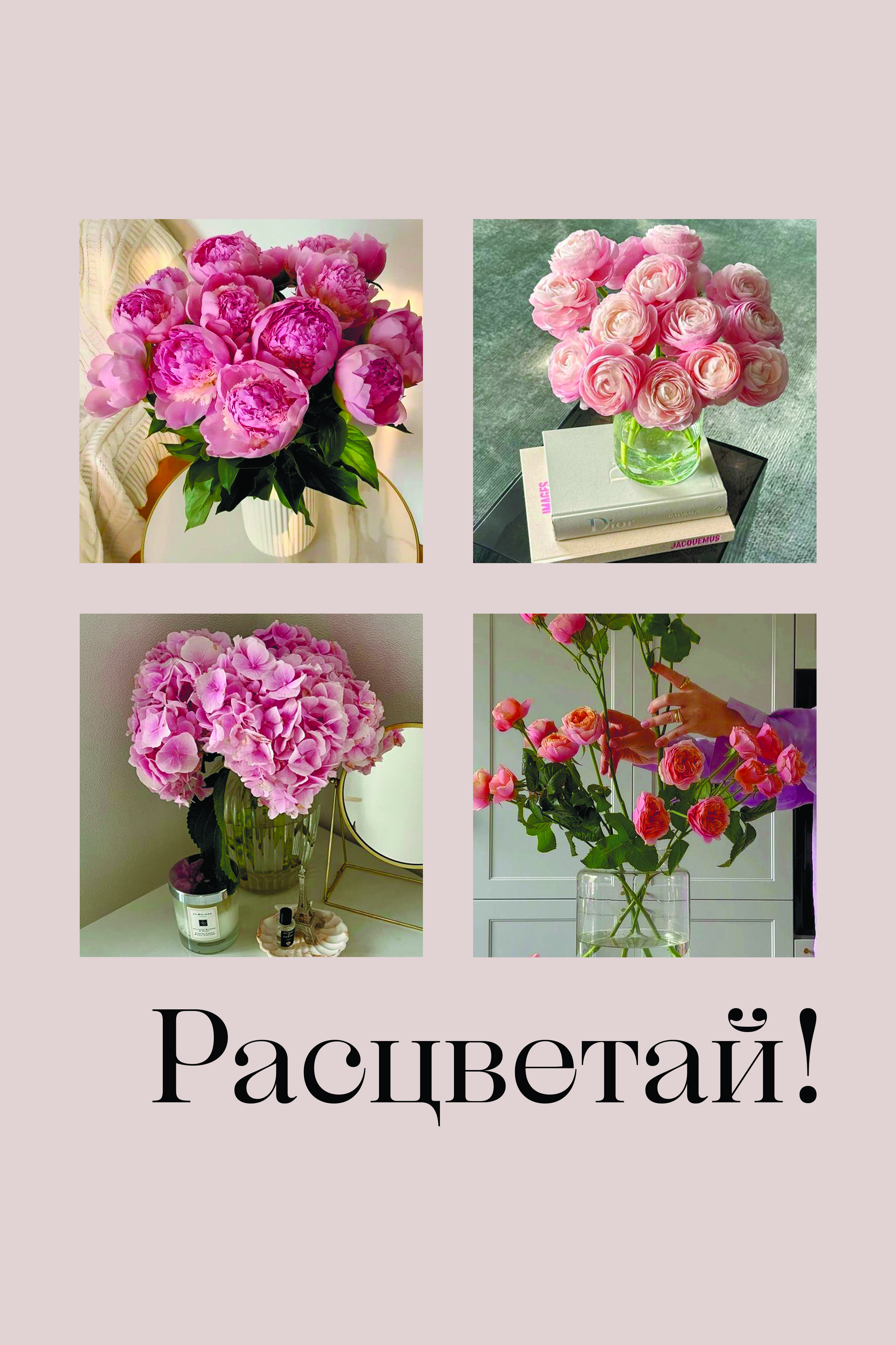 расцветай.jpg