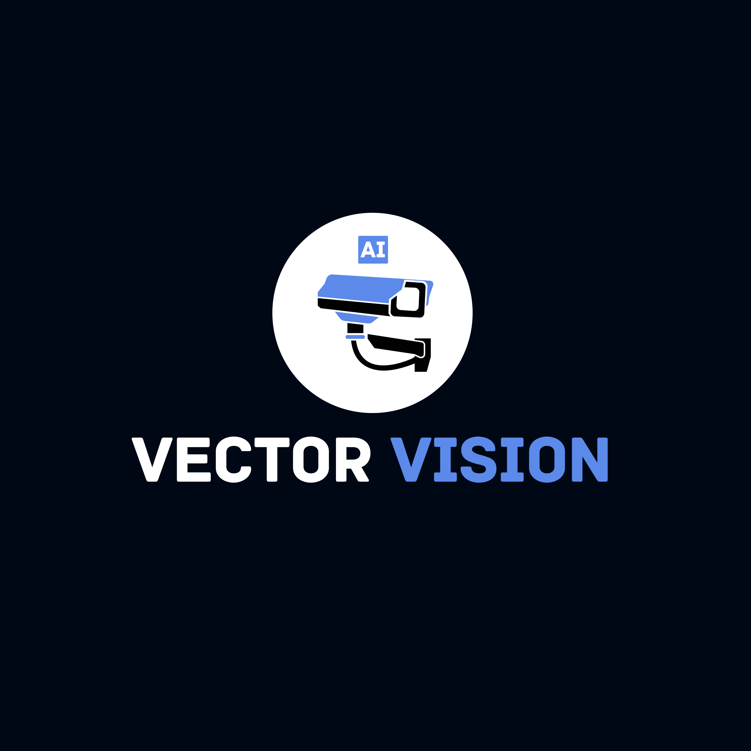 VECTOR VISION.jpg