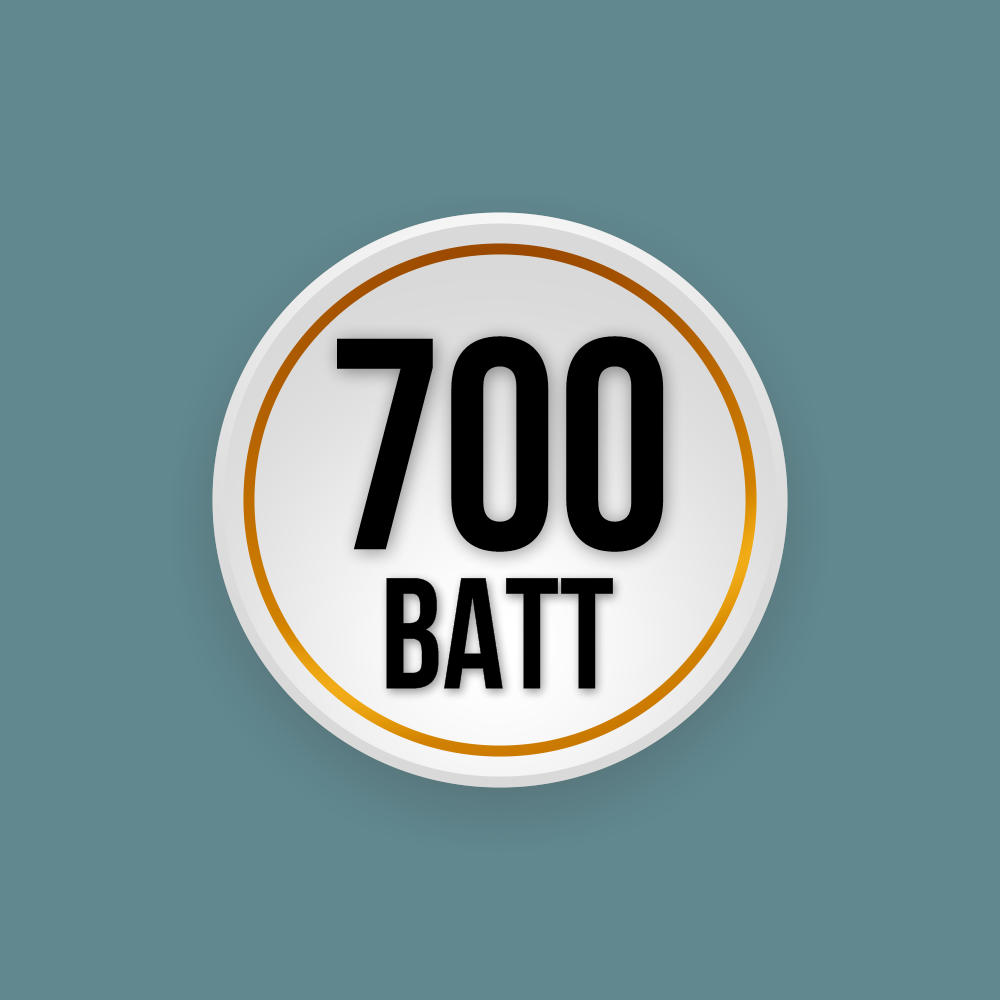 Шильд 700  1998 .png