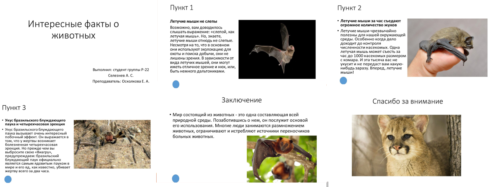 Снимок экрана (199).png