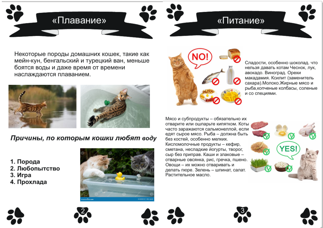 Снимок экрана (209).png