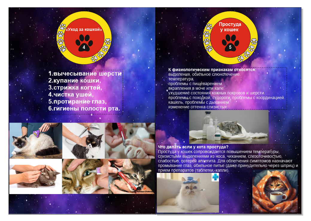 Снимок экрана (217).png