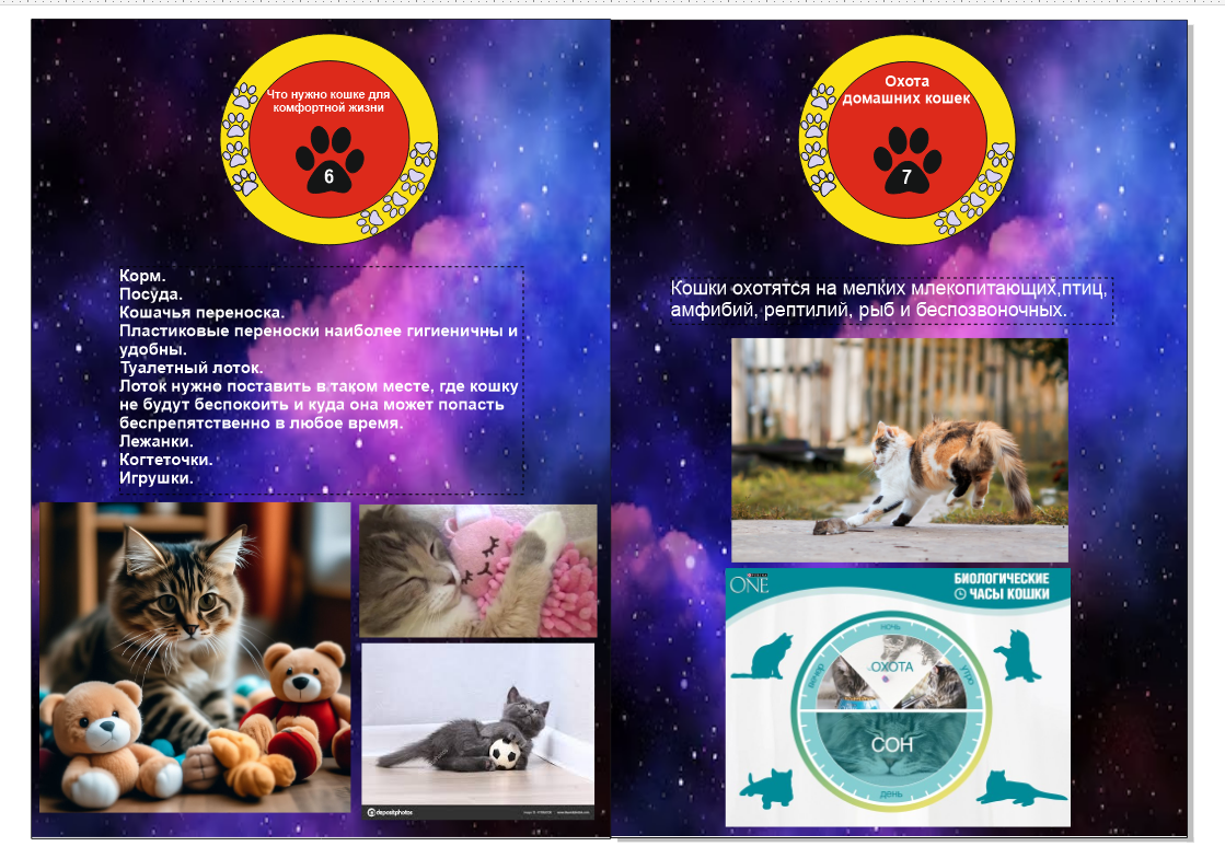 Снимок экрана (218).png