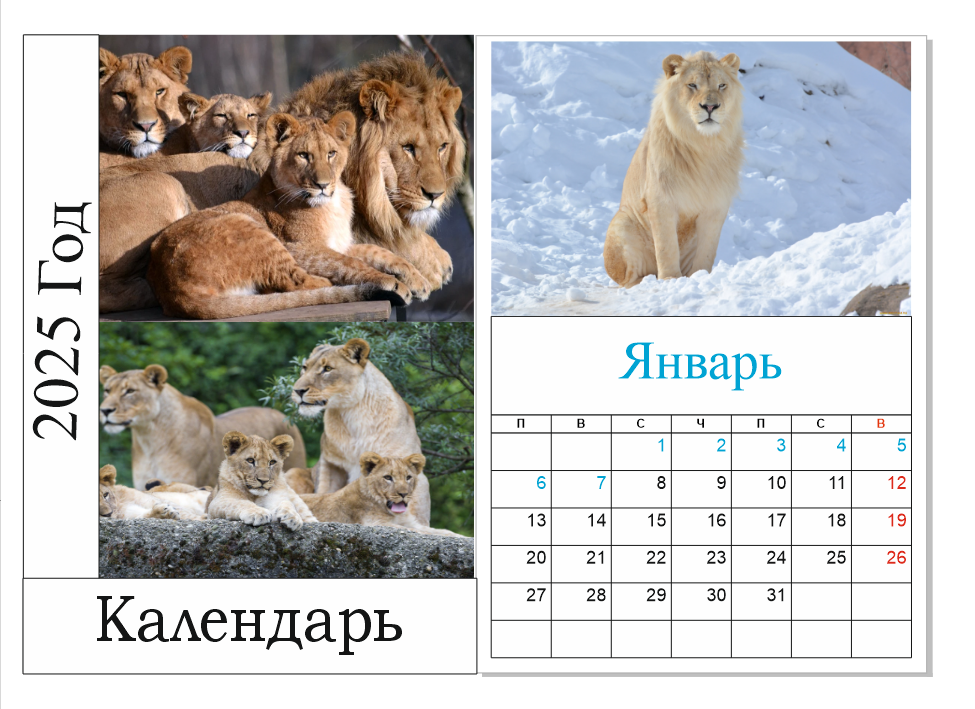 Снимок экрана (246).png