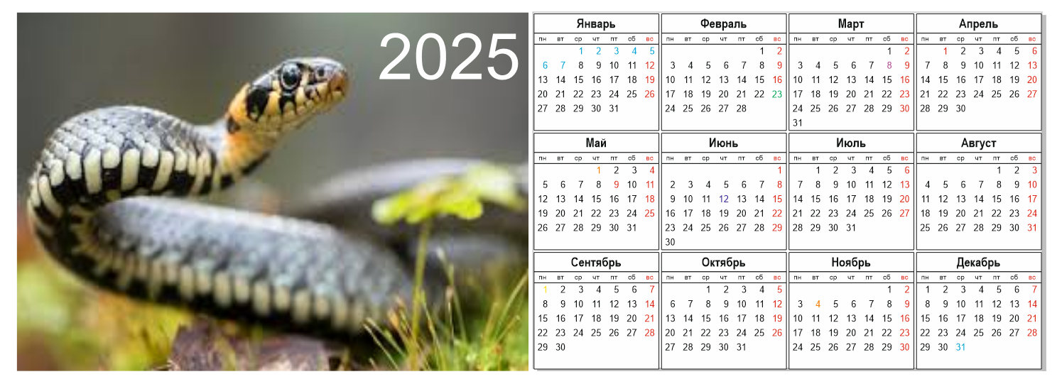 Снимок экрана (247).png