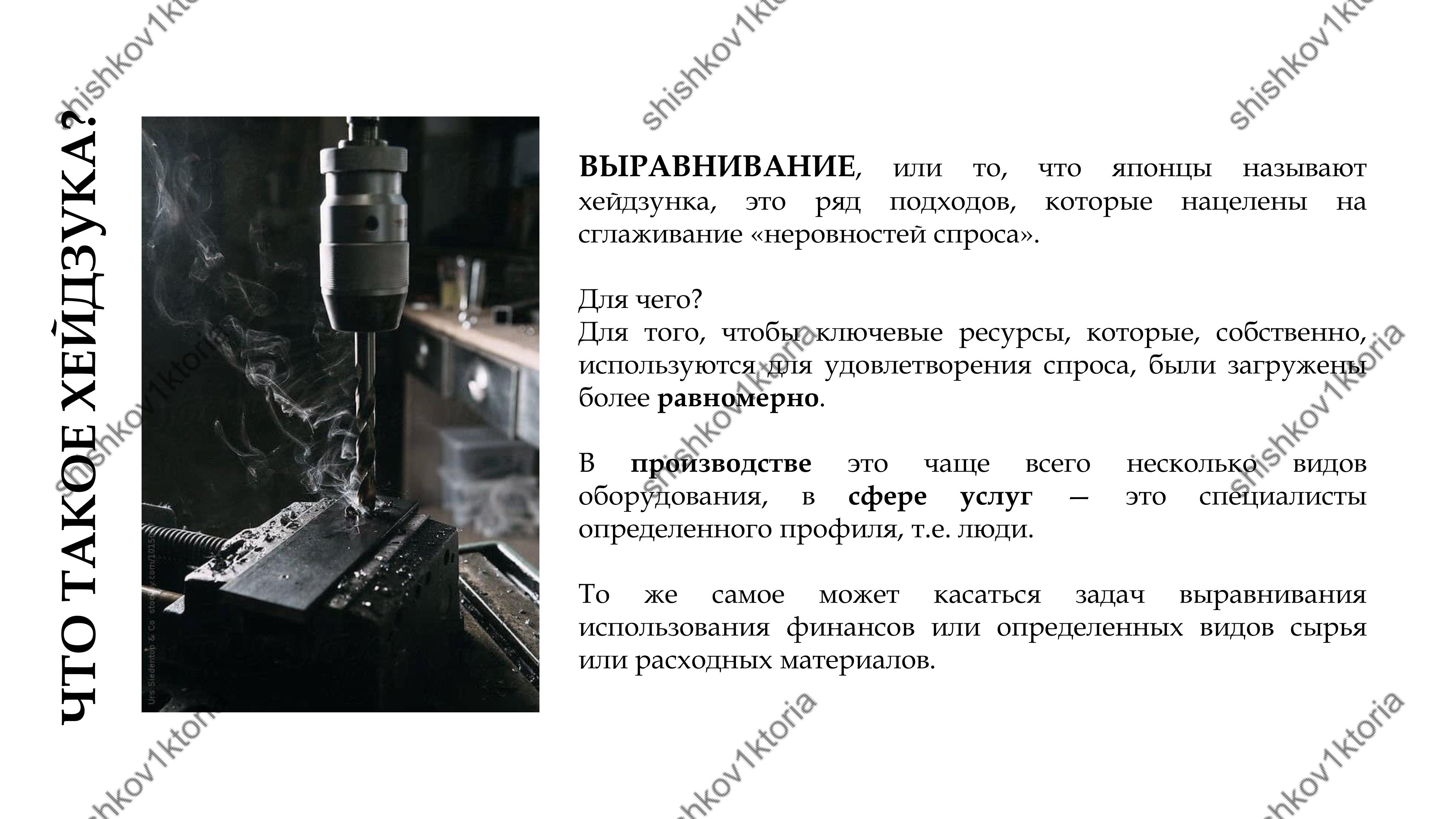 shishkov1ktoria (53).jpg