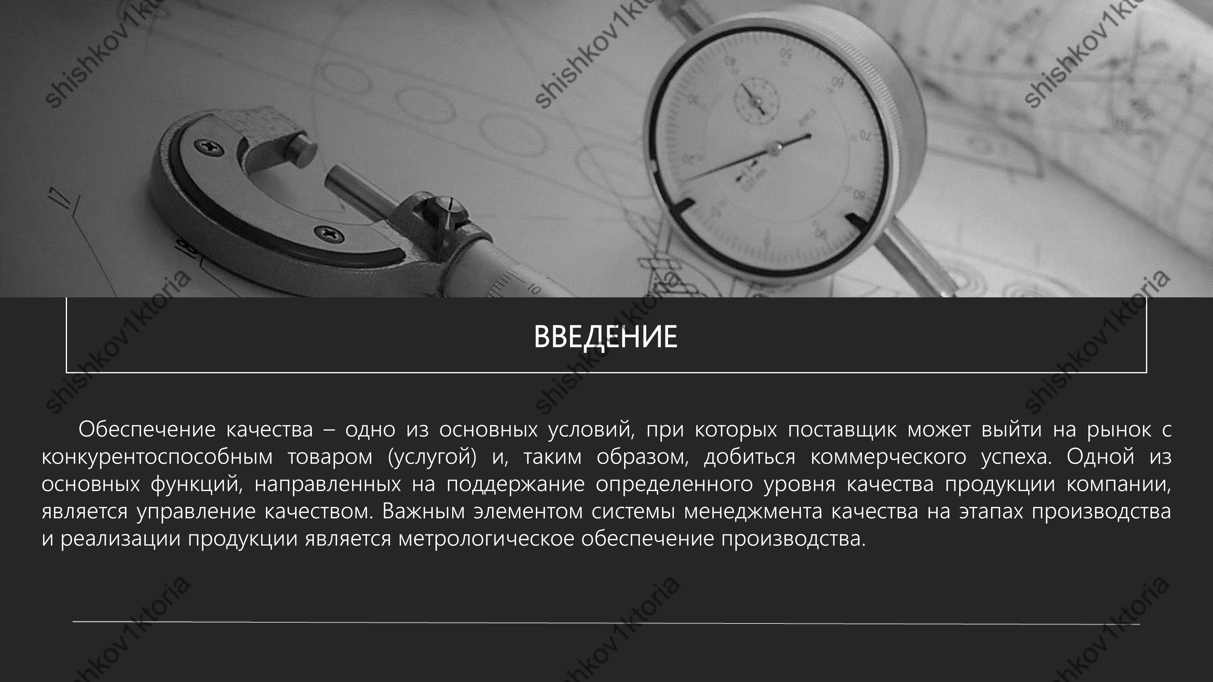 shishkov1ktoria (59).jpg