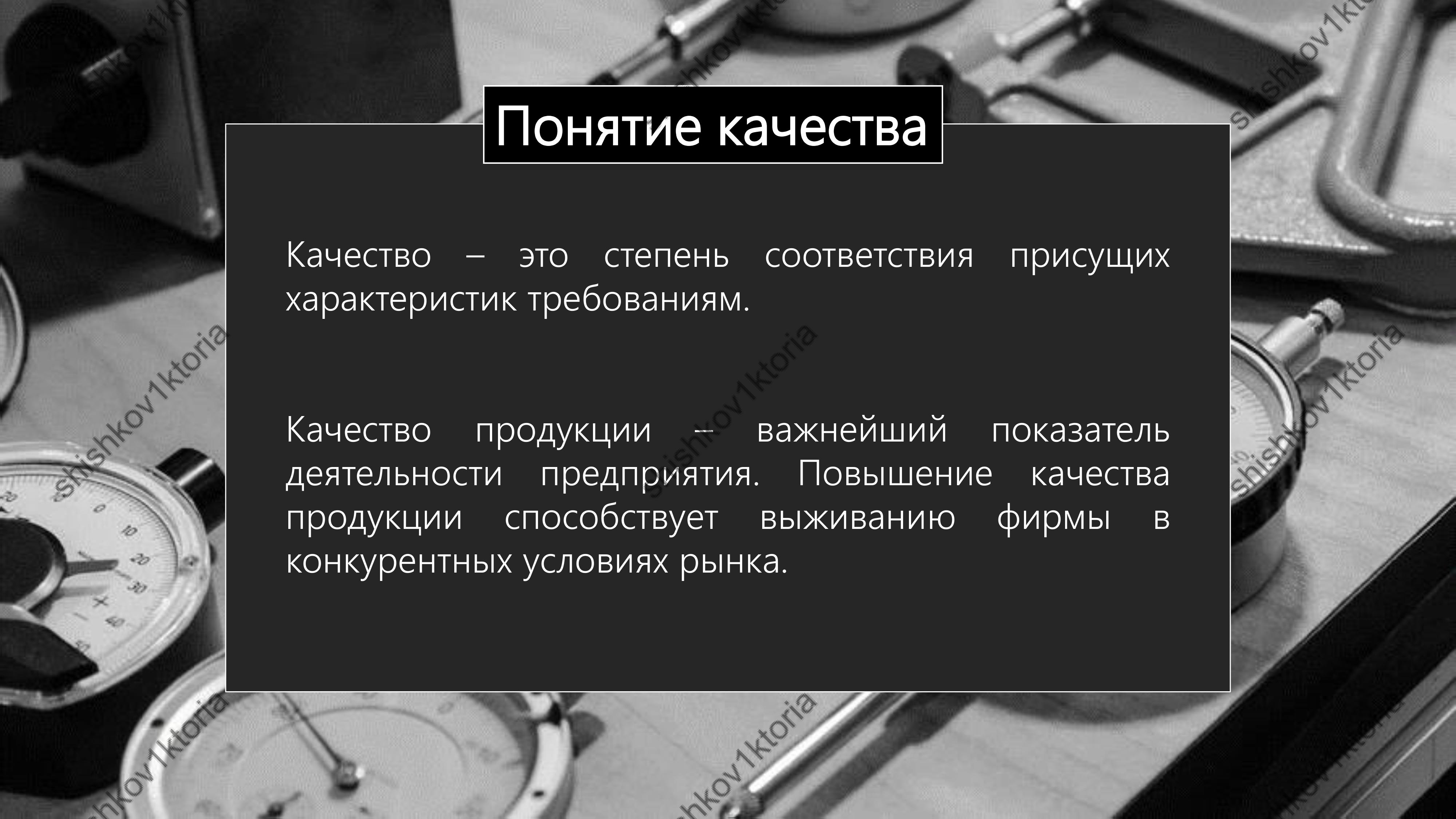 shishkov1ktoria (60).jpg