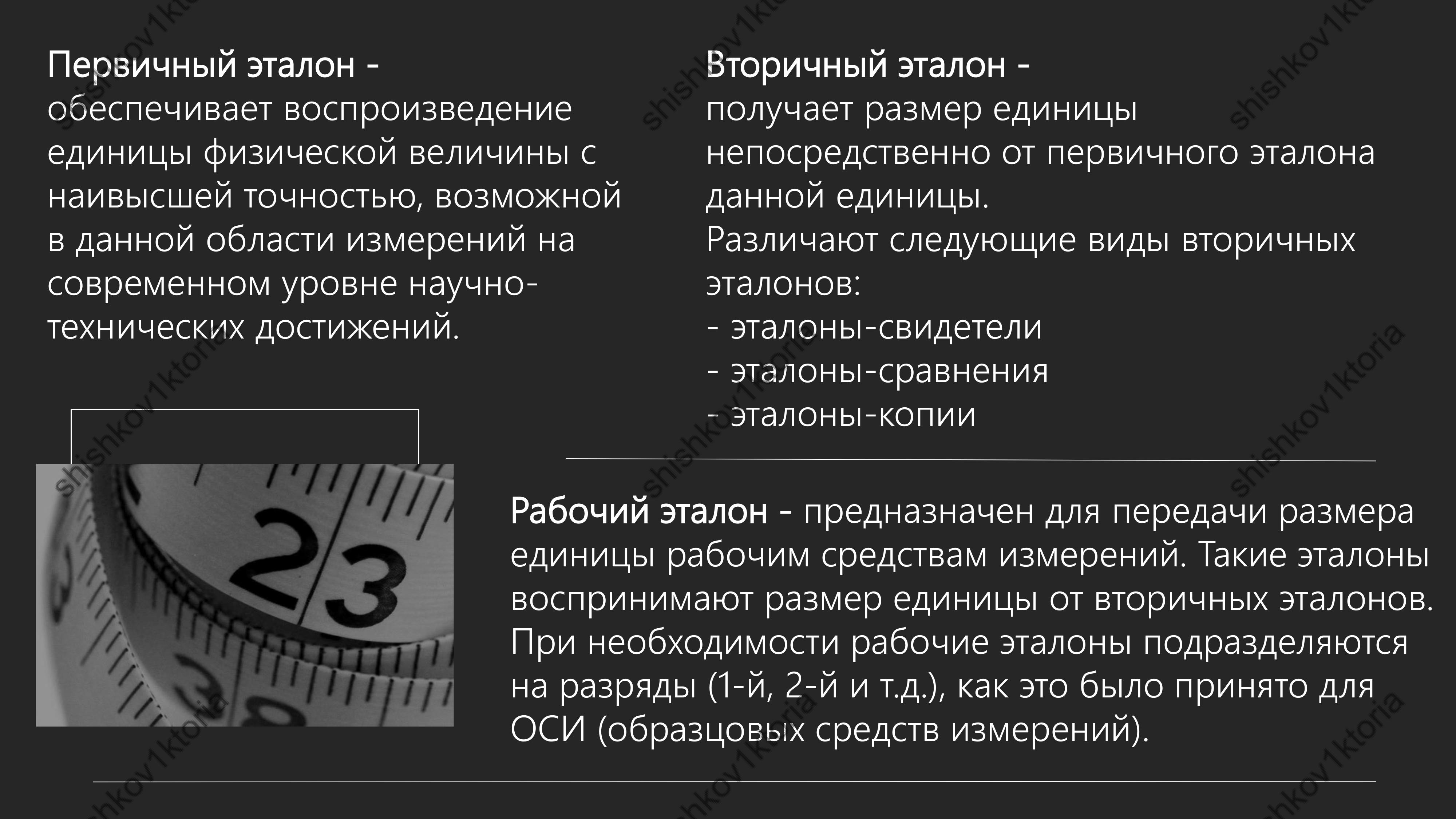 shishkov1ktoria (66).jpg