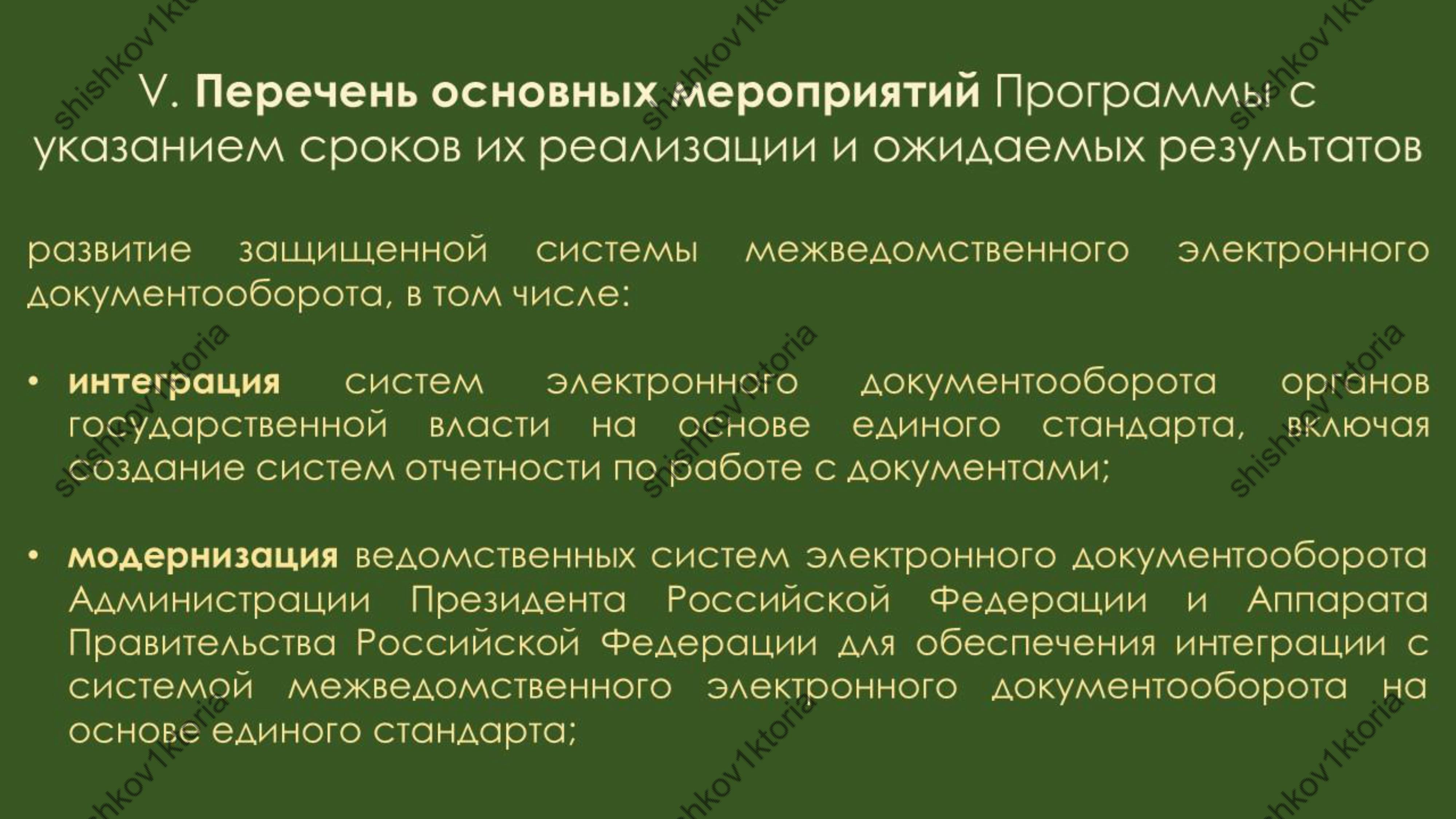 shishkov1ktoria (77).jpg