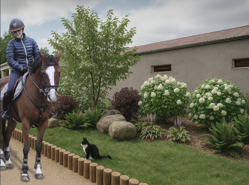 Проект озеленения КСК "Петровское"
