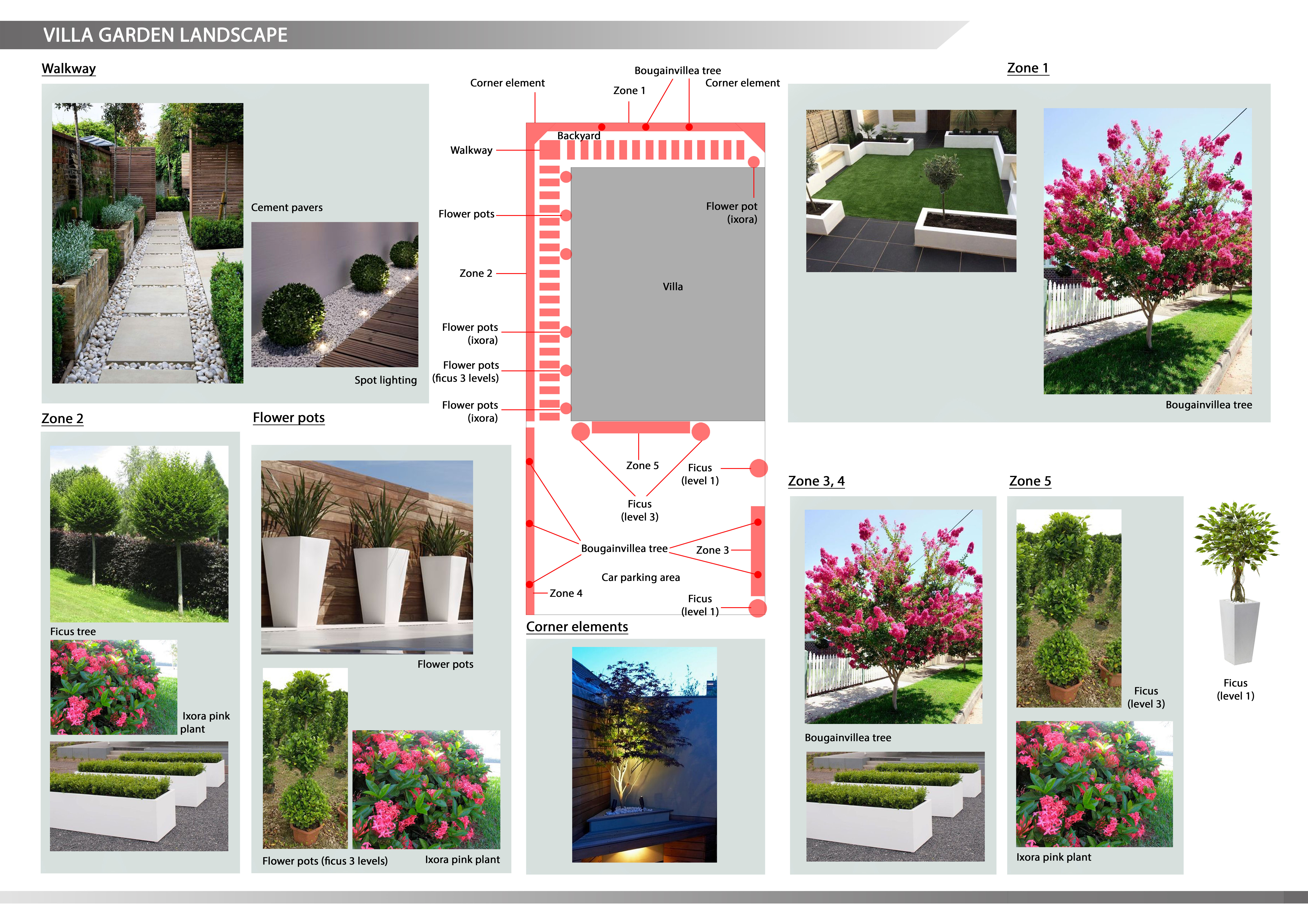 Presentation 3 (1).jpg