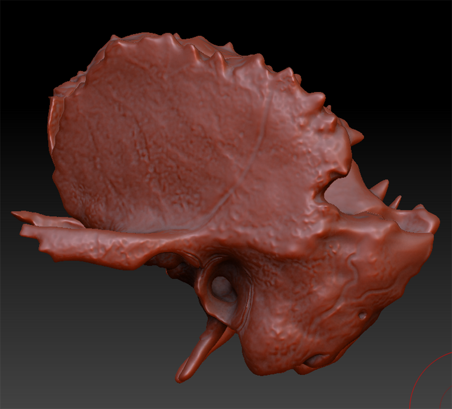 Снимок экрана 2023-06-22 095200.png