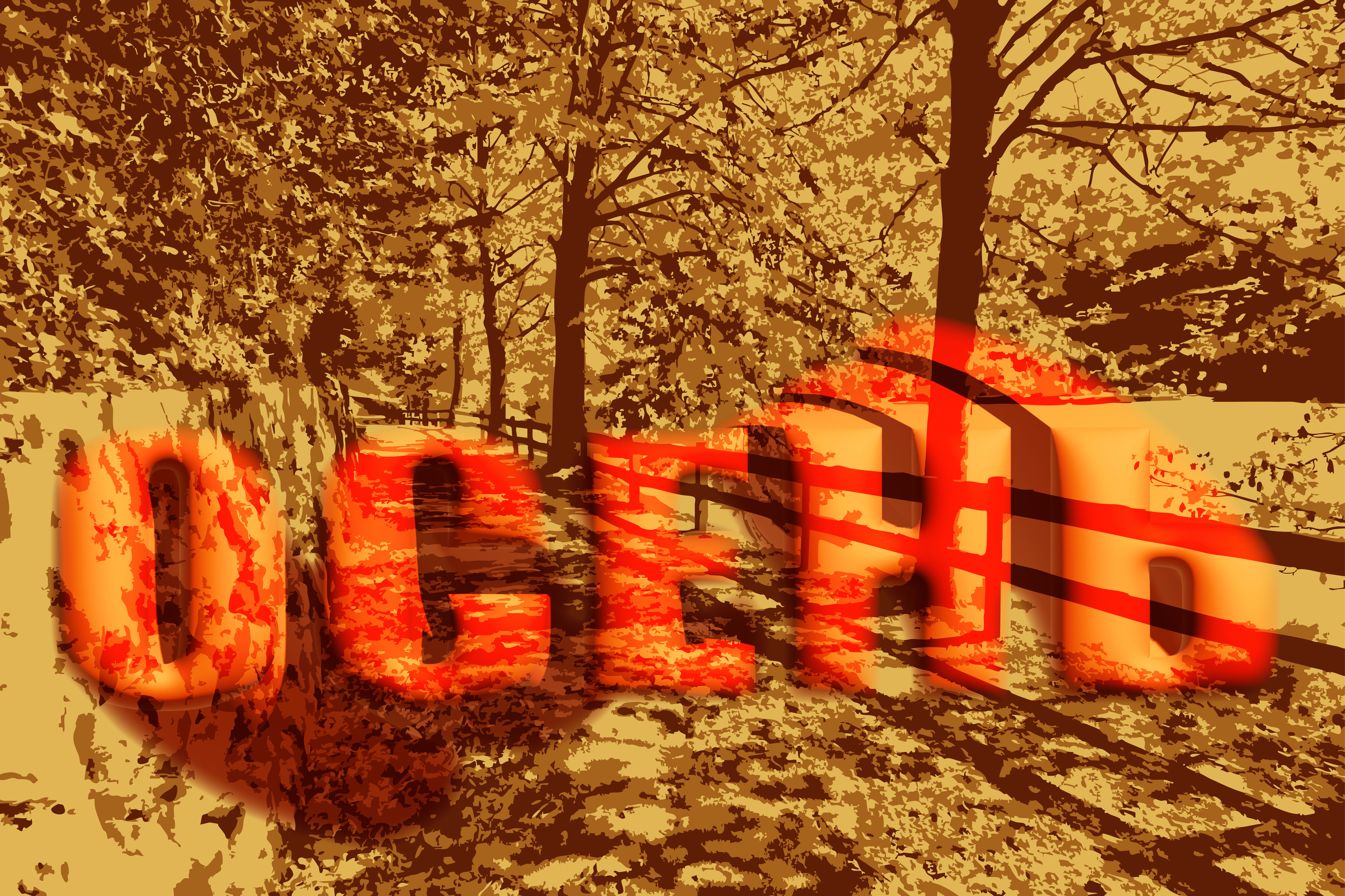 Осень 3.jpg