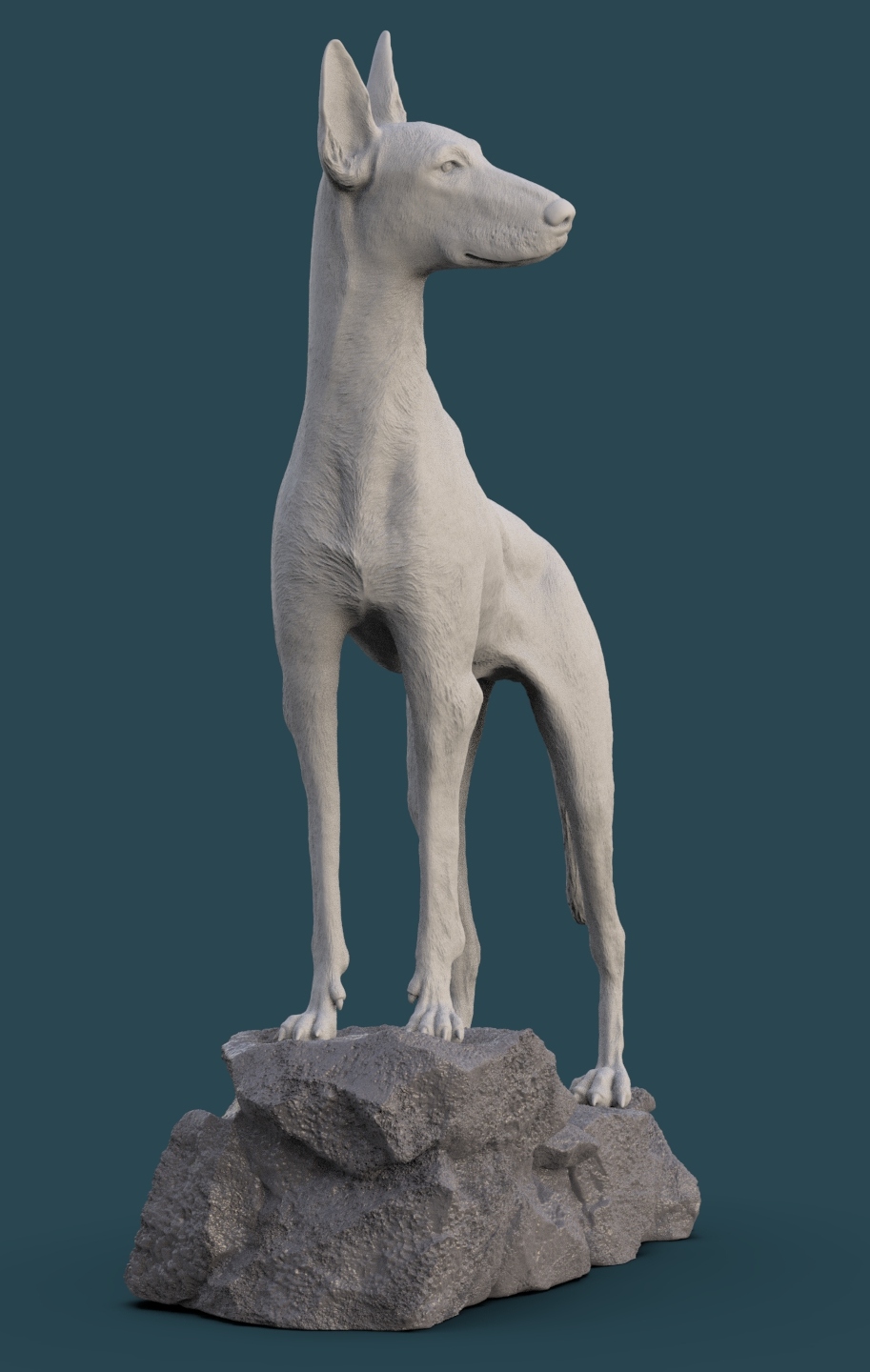 Podenco ibicenco.22.jpg