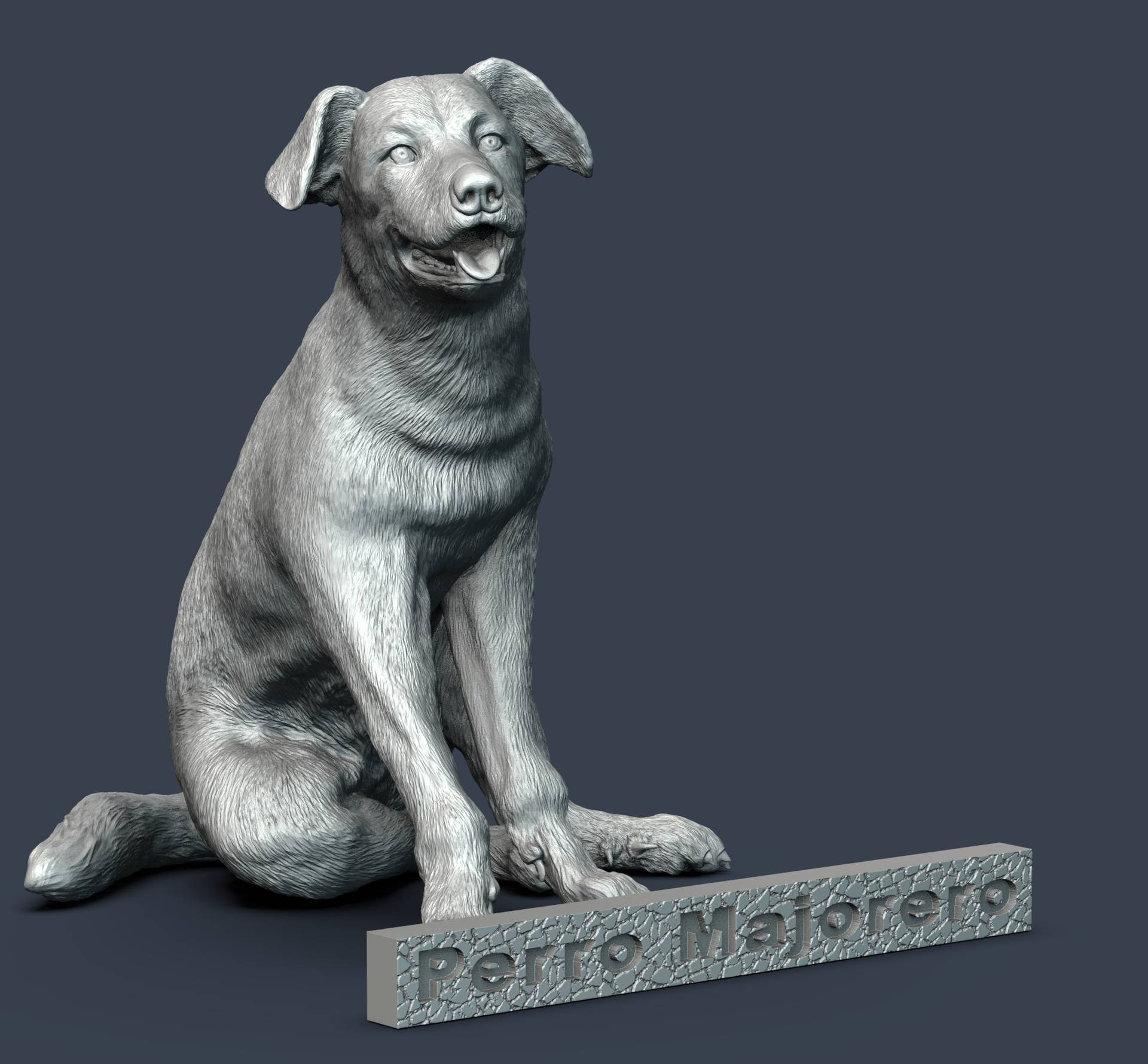 Perro Majorero.53.jpg
