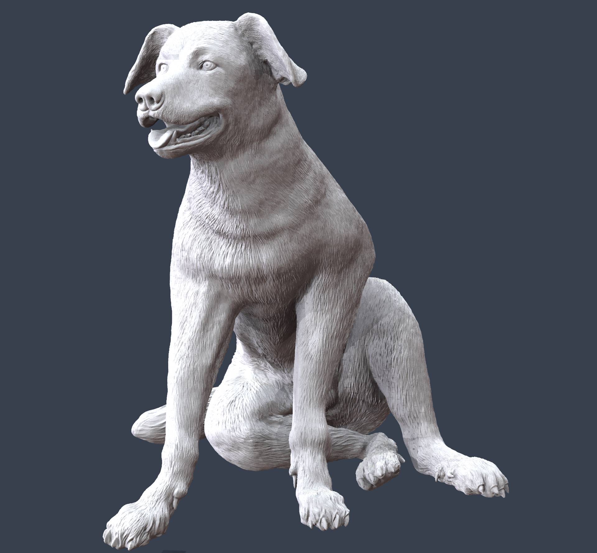 Perro Majorero.49.jpg