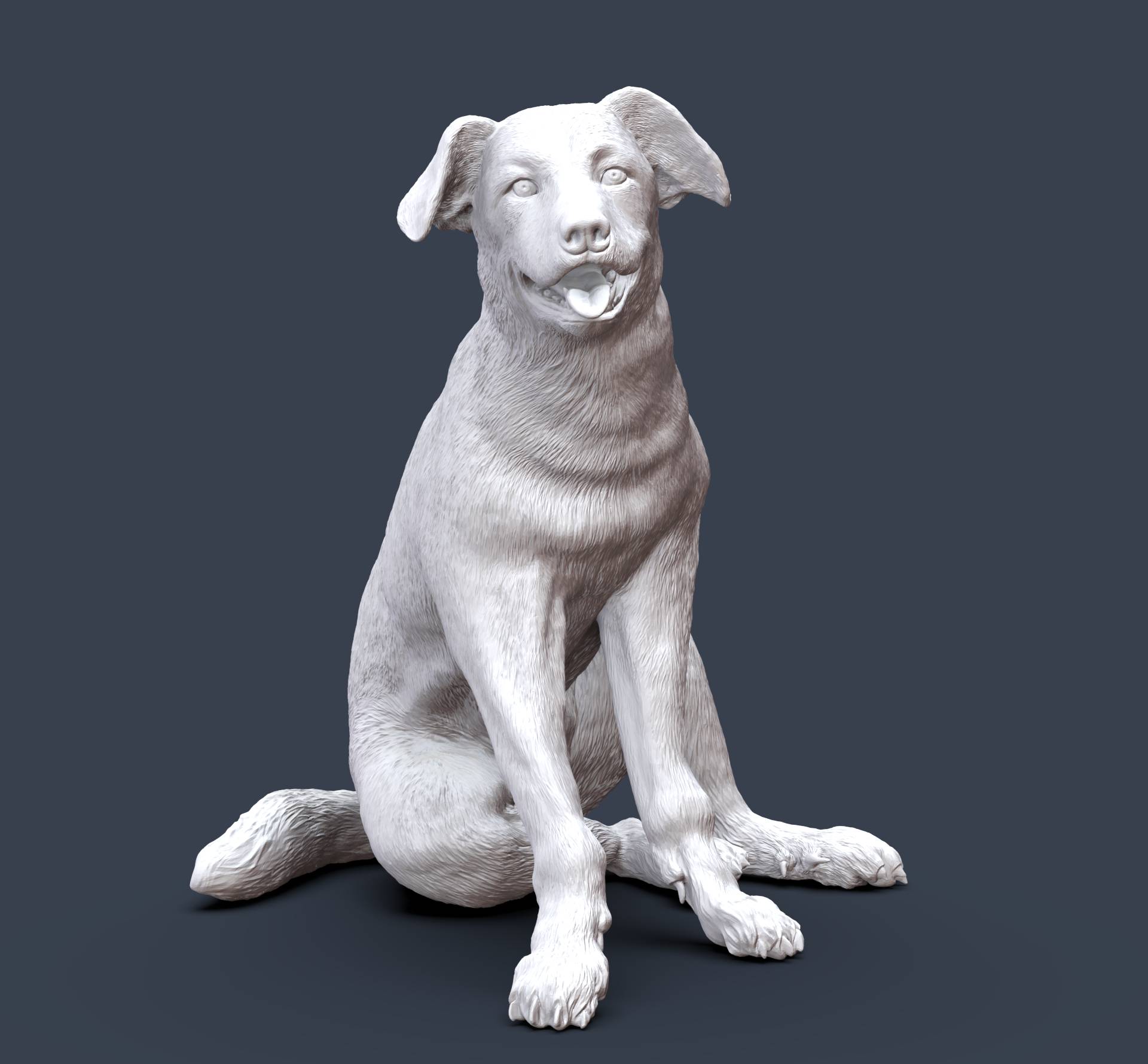 Perro Majorero.51.jpg
