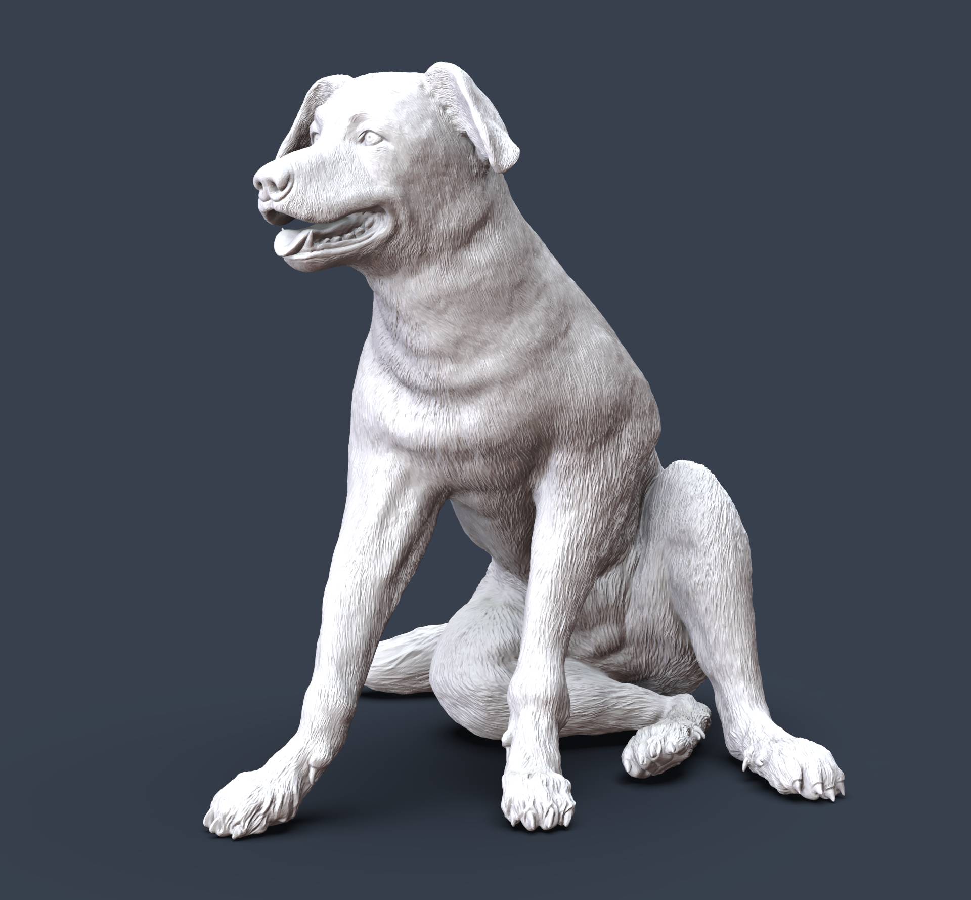 Perro Majorero.52.jpg