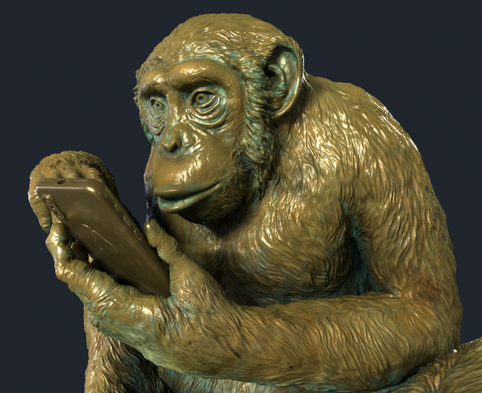Chimpanzee