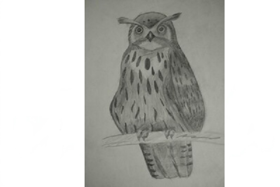 kandinsky-download-1754554078439, Филин, альбомный формат.jpg