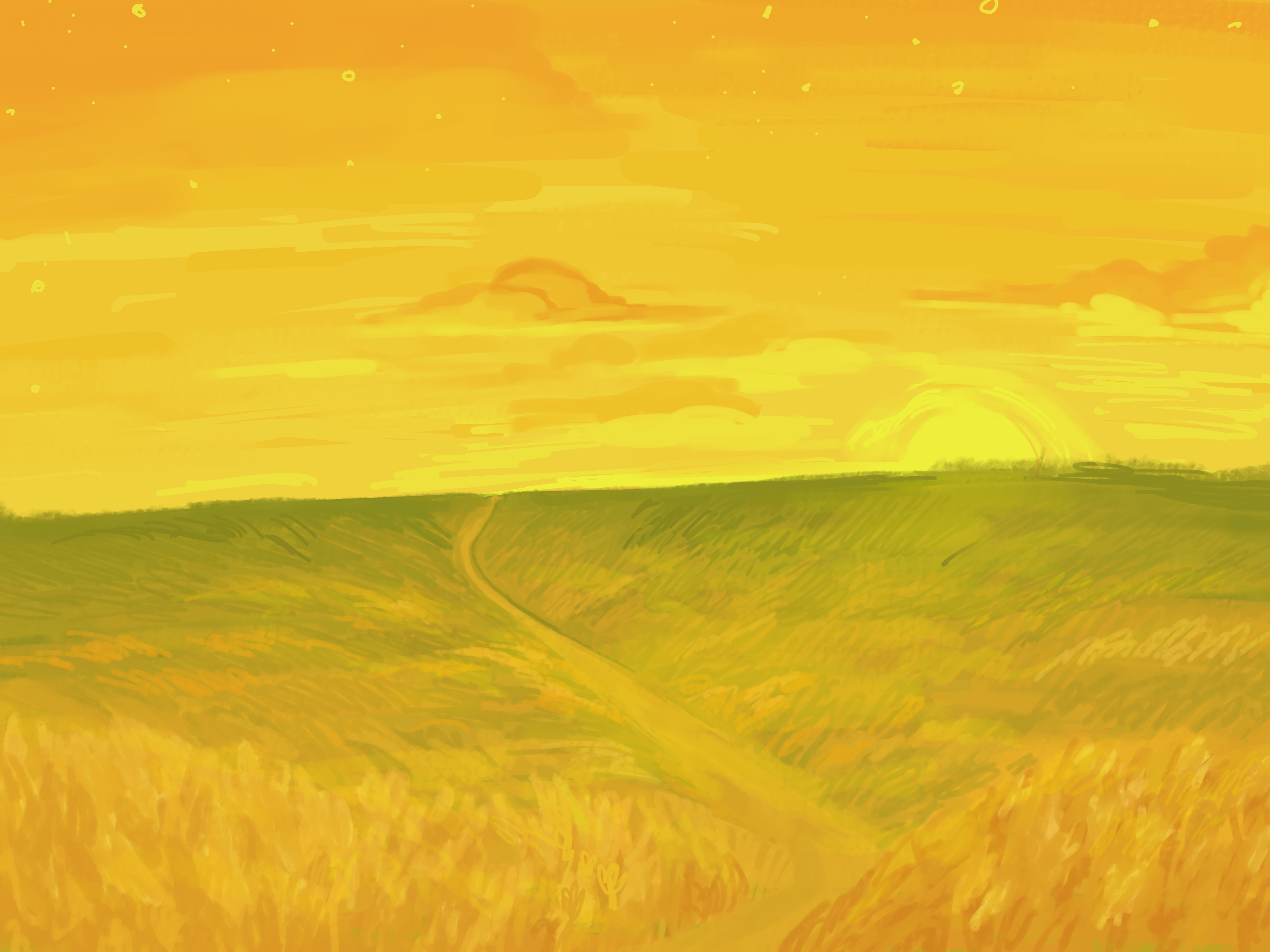 IMG_3450.PNG